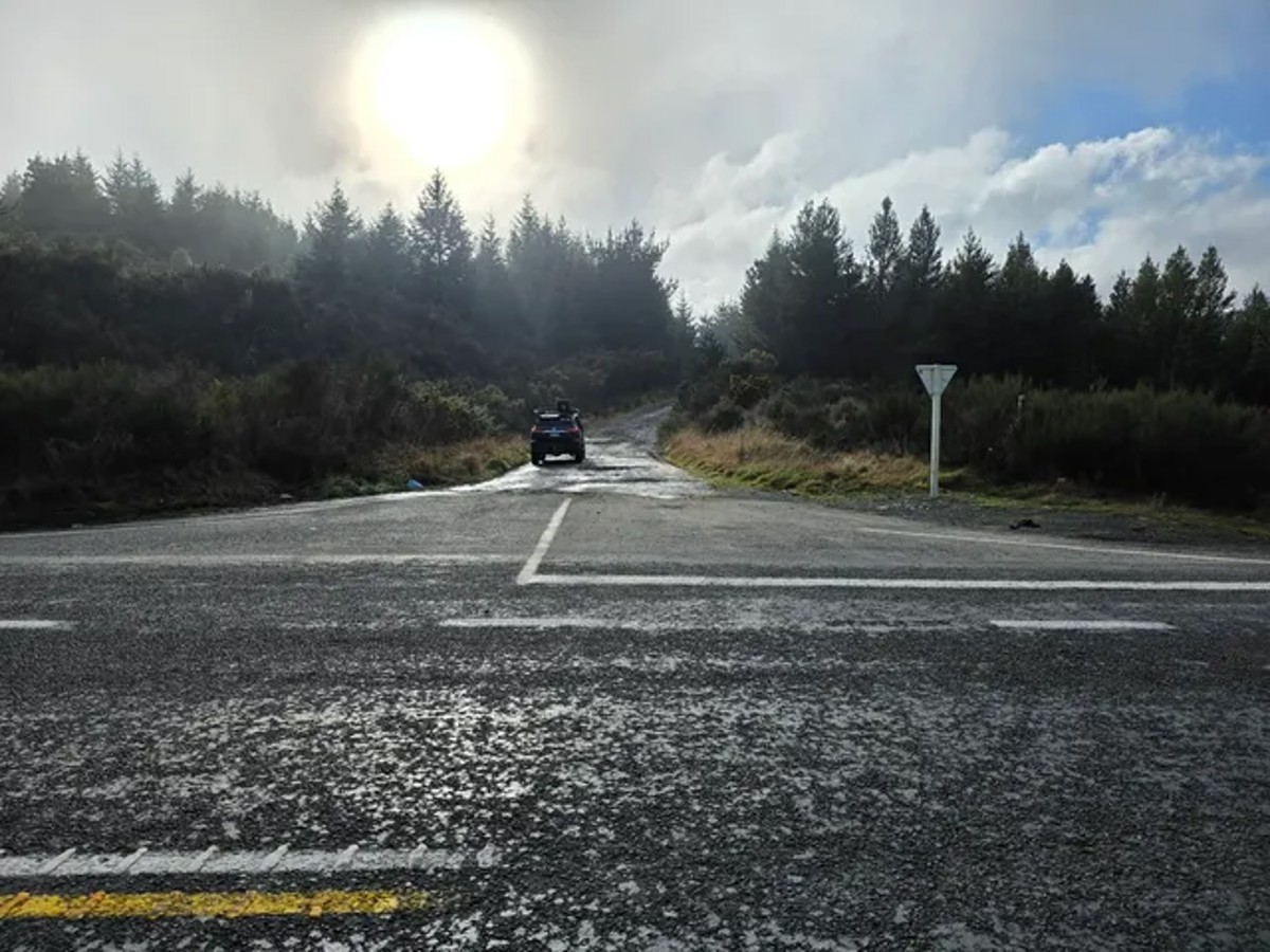Whirinaki Forest image 1