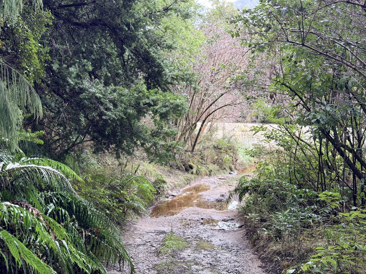Triopahi River image 3