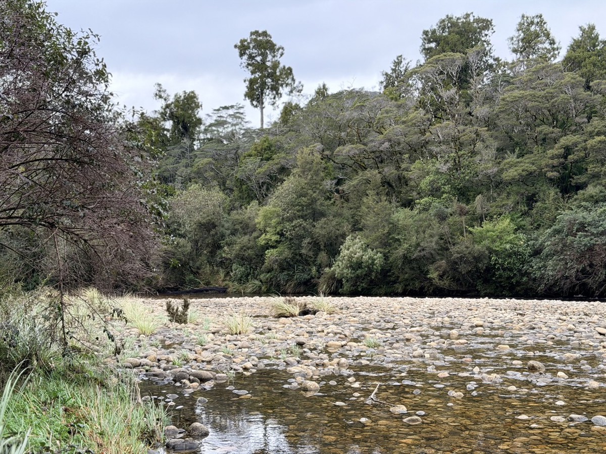Triopahi River image 2