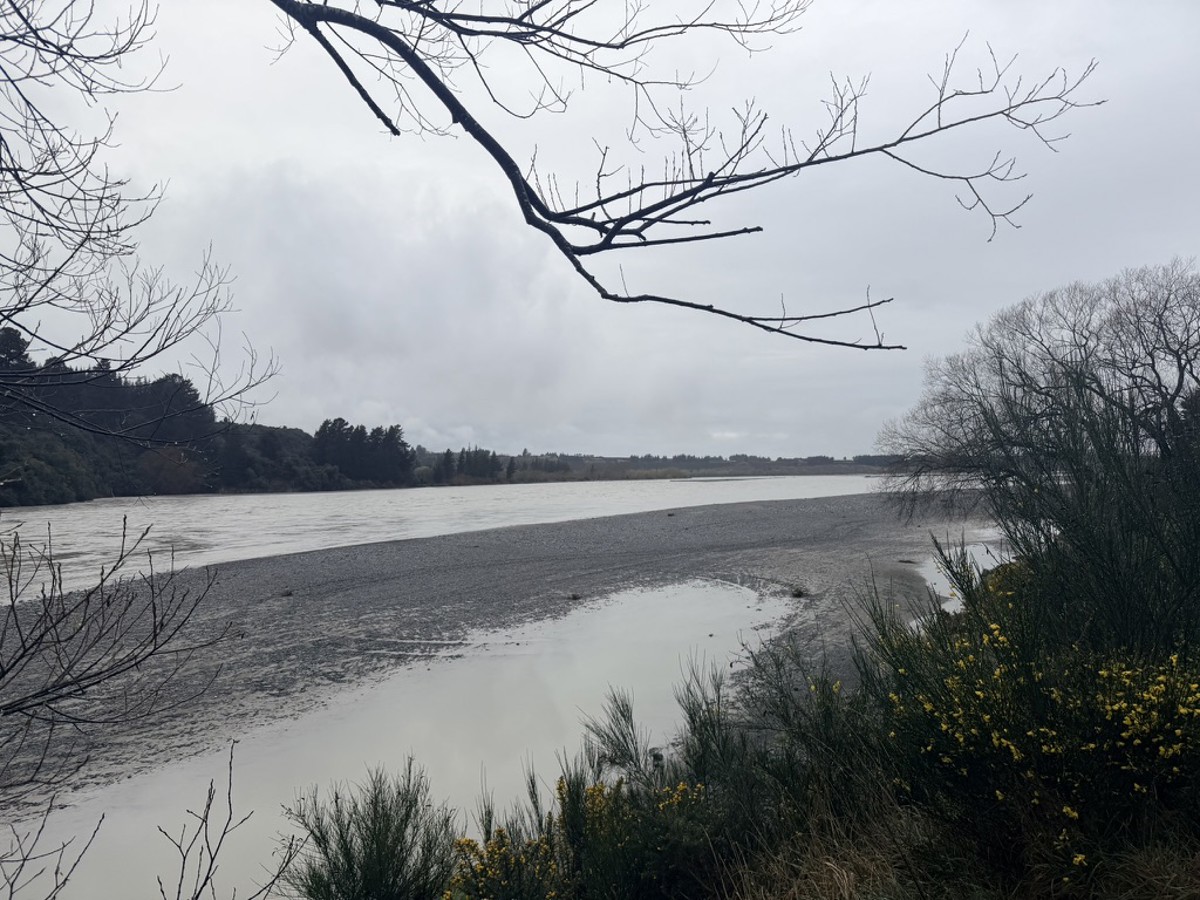 Waimakariri River Access image 1