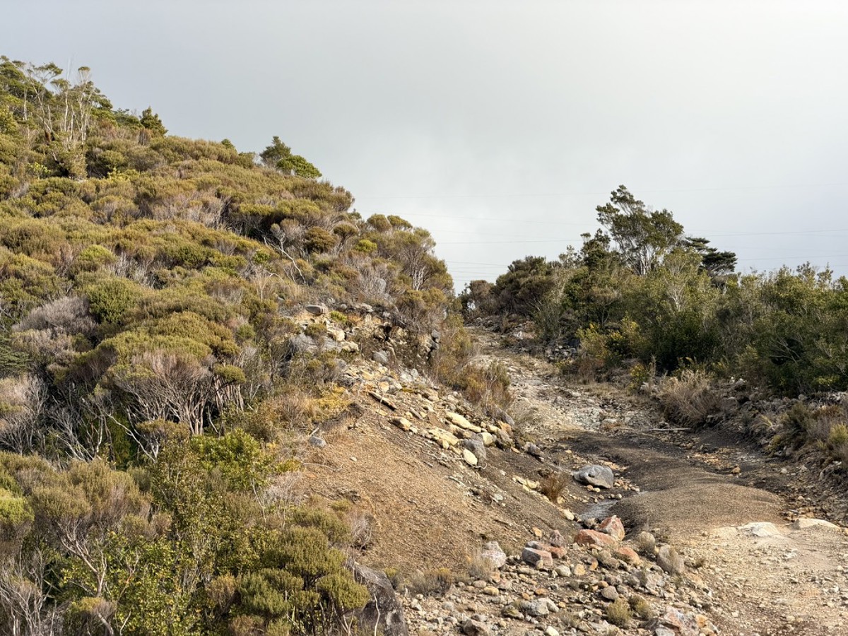 Side track image 3