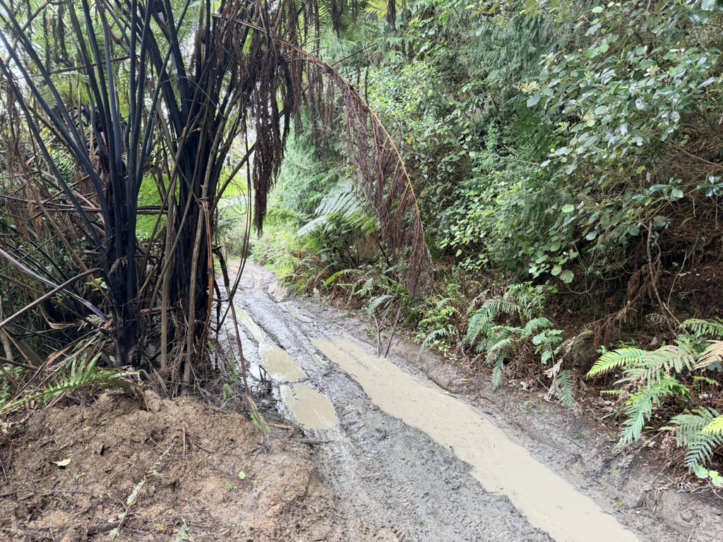 Makairo Track image 3