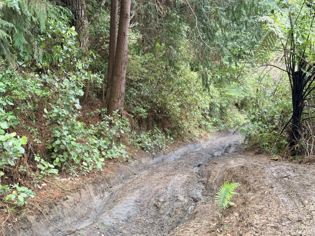 Makairo Track image 2