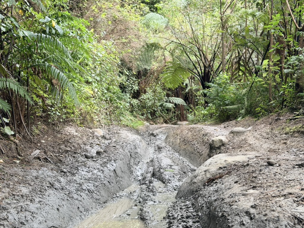 Makairo Track image 1
