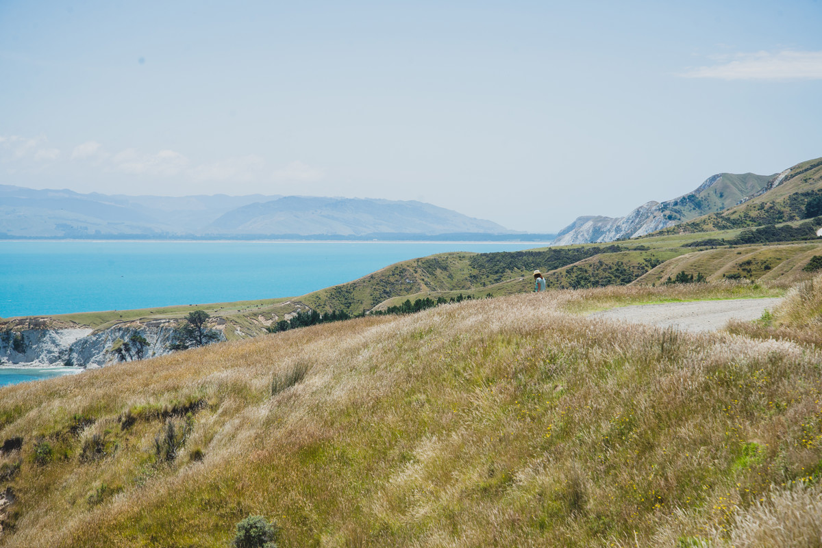 Kinikini Road image 8
