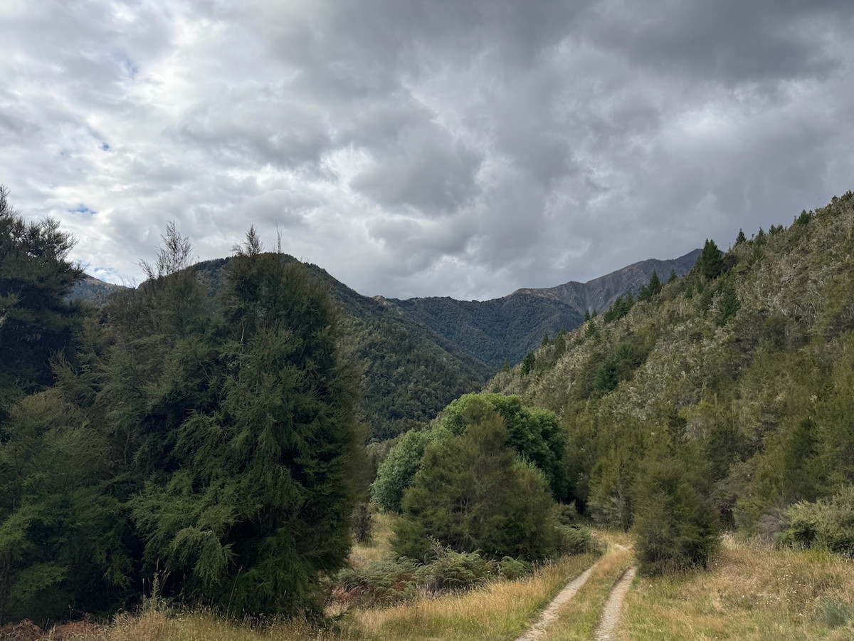 Boulder Forks Hut image 1