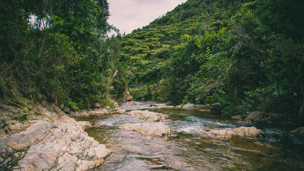 Tapu Coroglen Road image 2