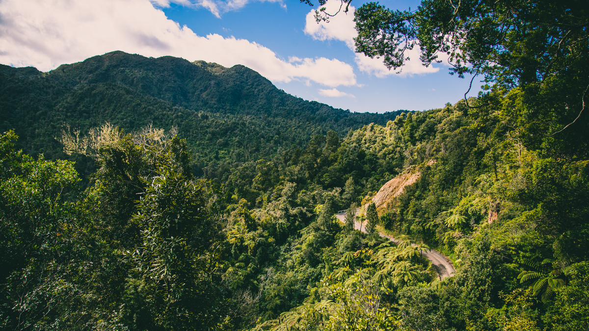 Tapu Coroglen Road image 4