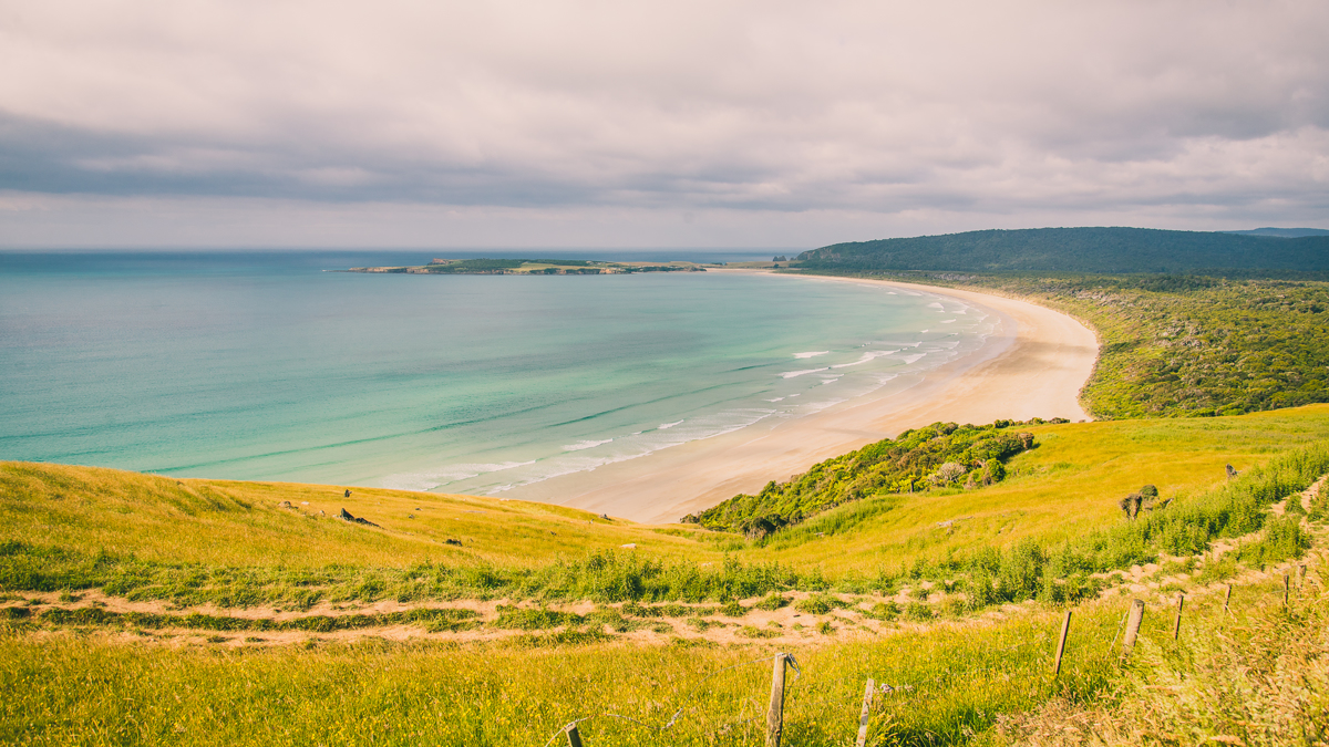 Tautuku Beach image 6