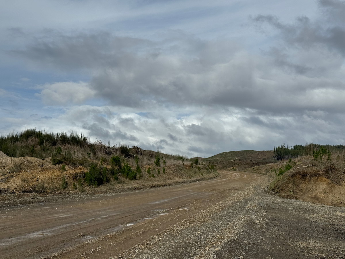 Kiko Road image 2