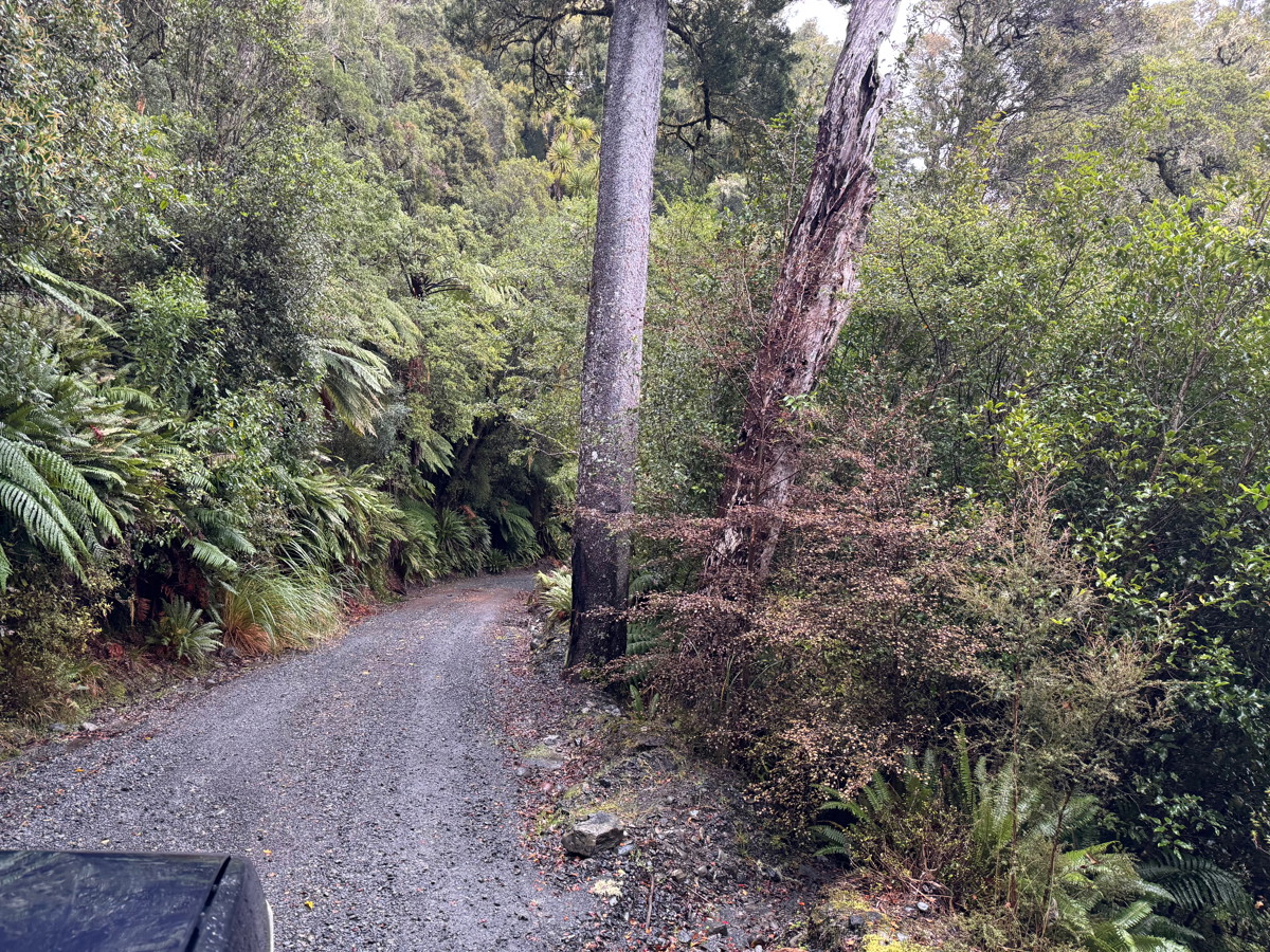 Urchin Lookout image 6
