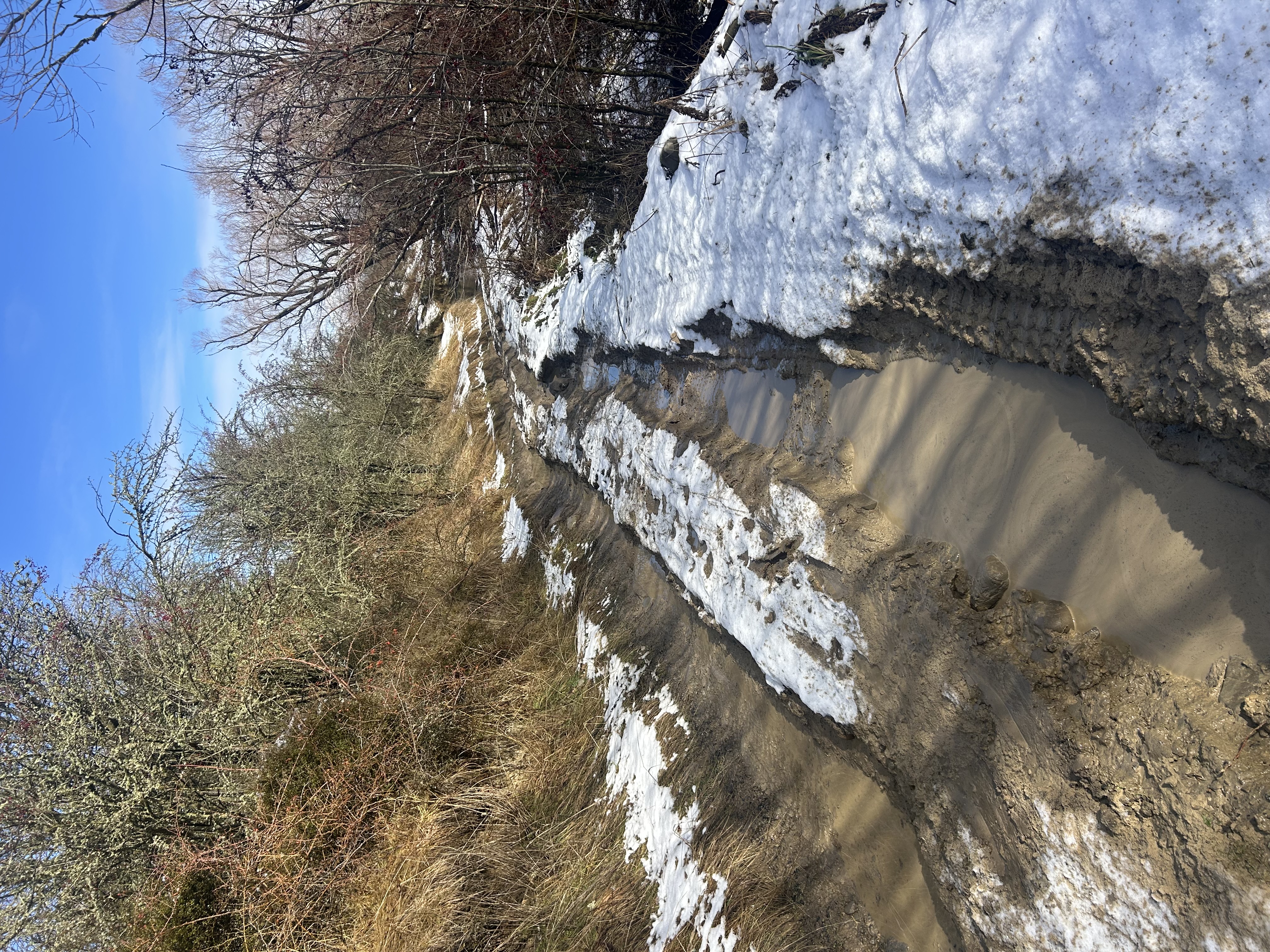 Lake Emily image 2