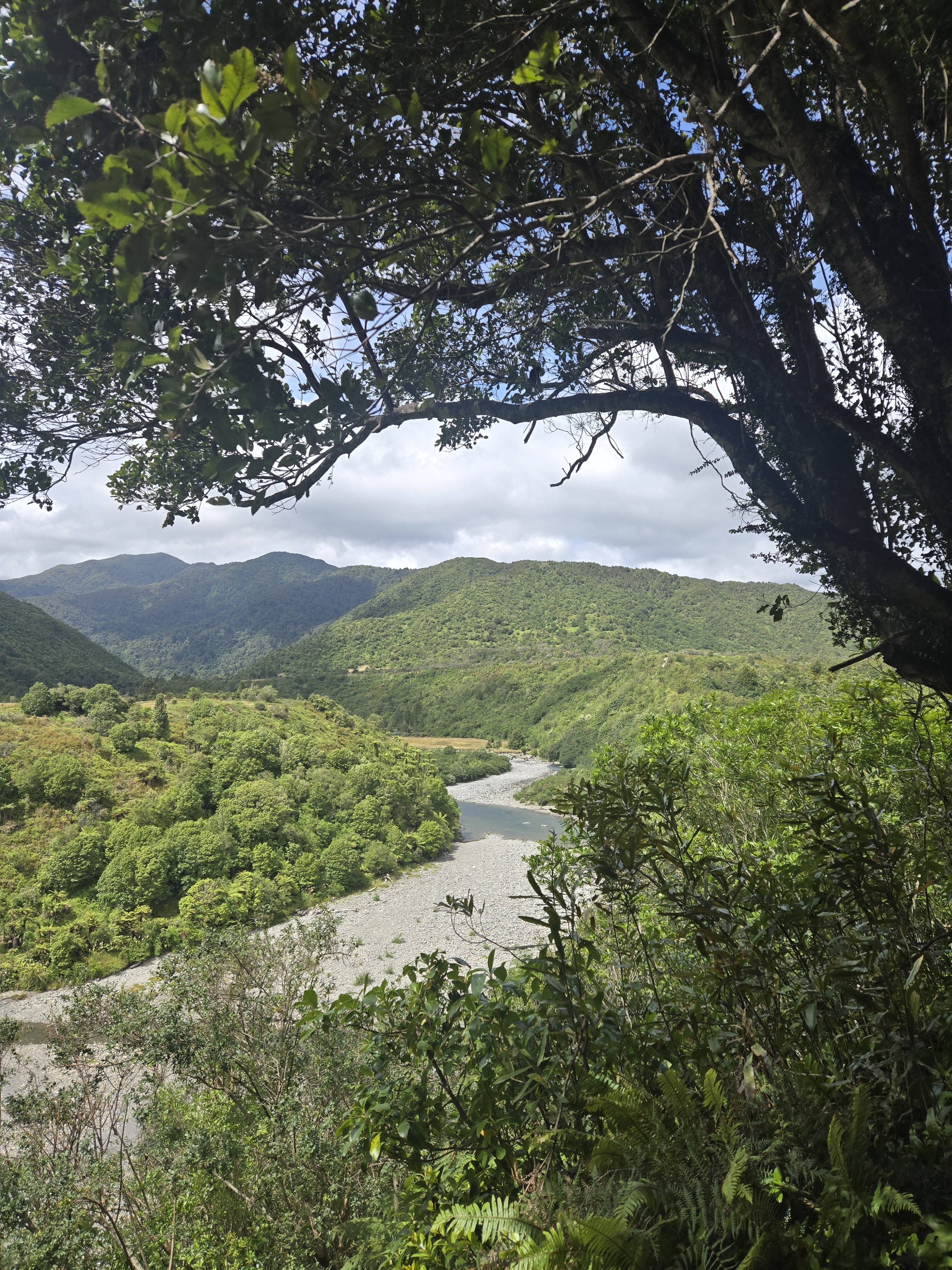 Otaki Gorge image 1