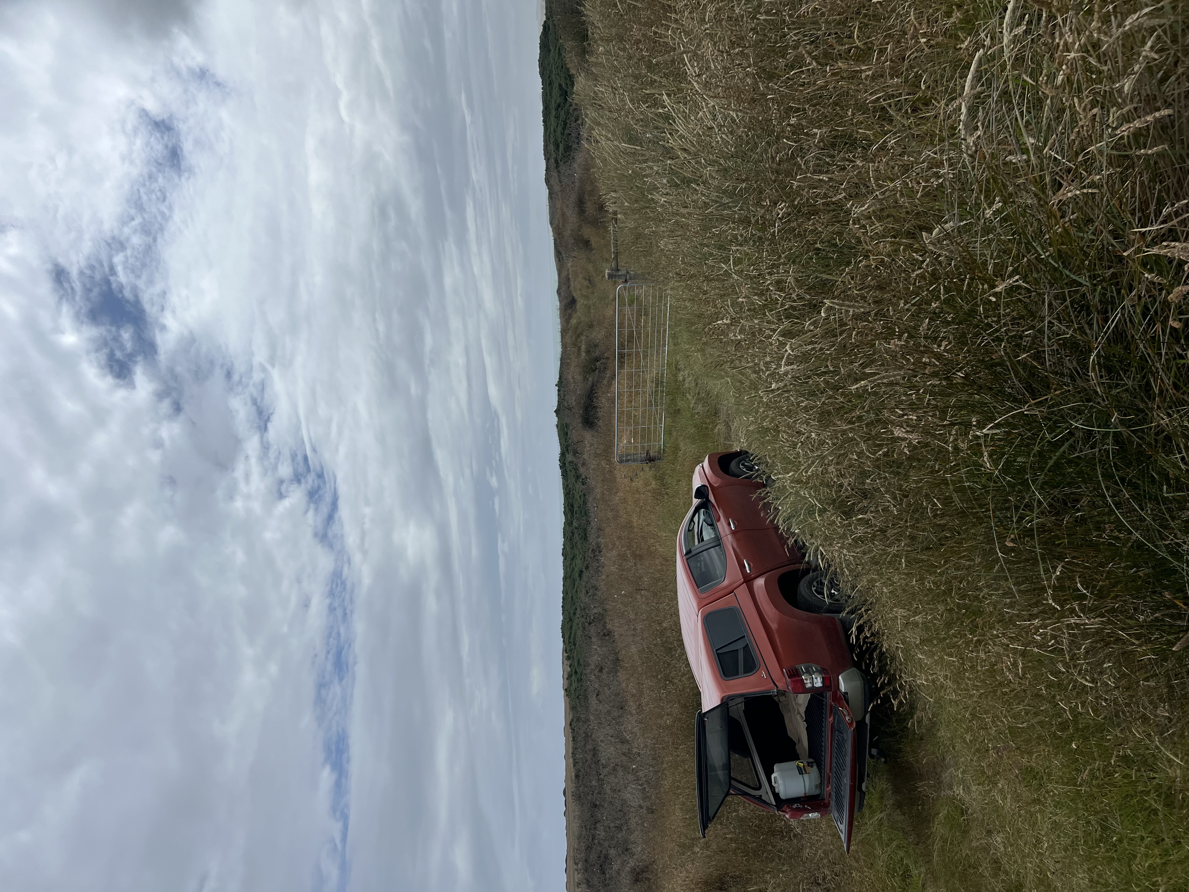 Slope Point Road (4WD section) image 1