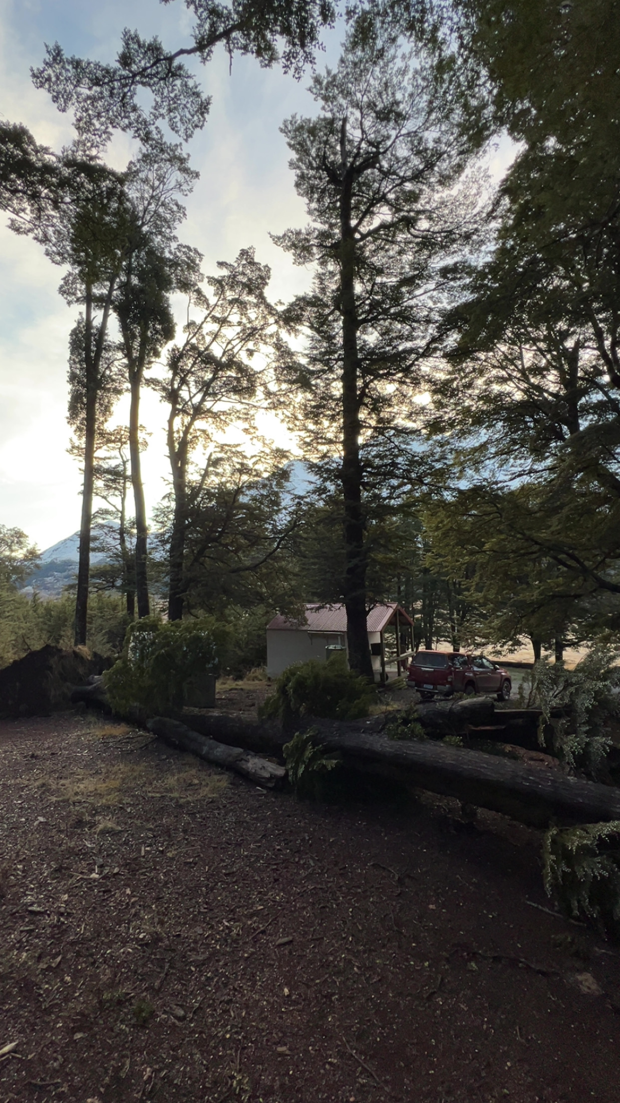 Ahuriri Base Hut image 1
