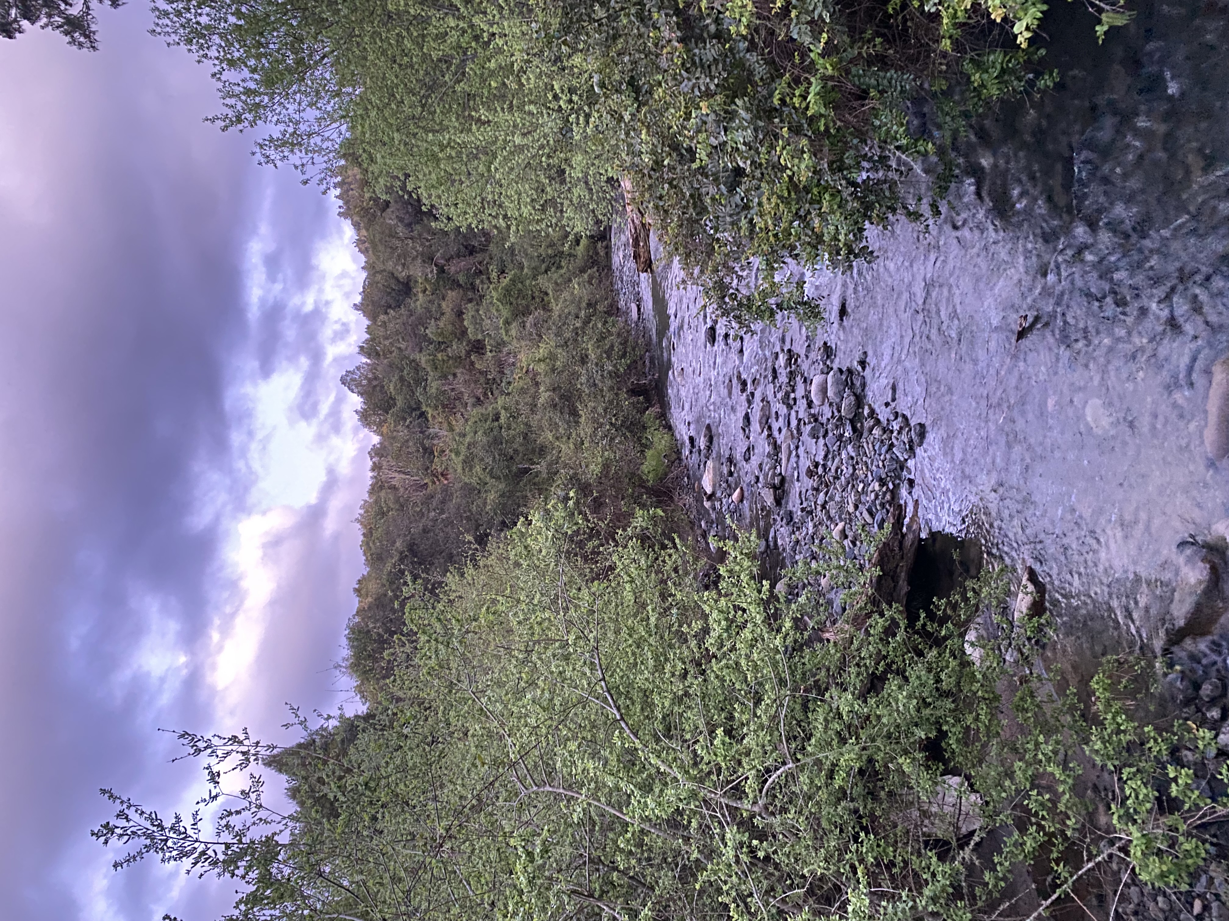 Sanctuary Campsite image 1