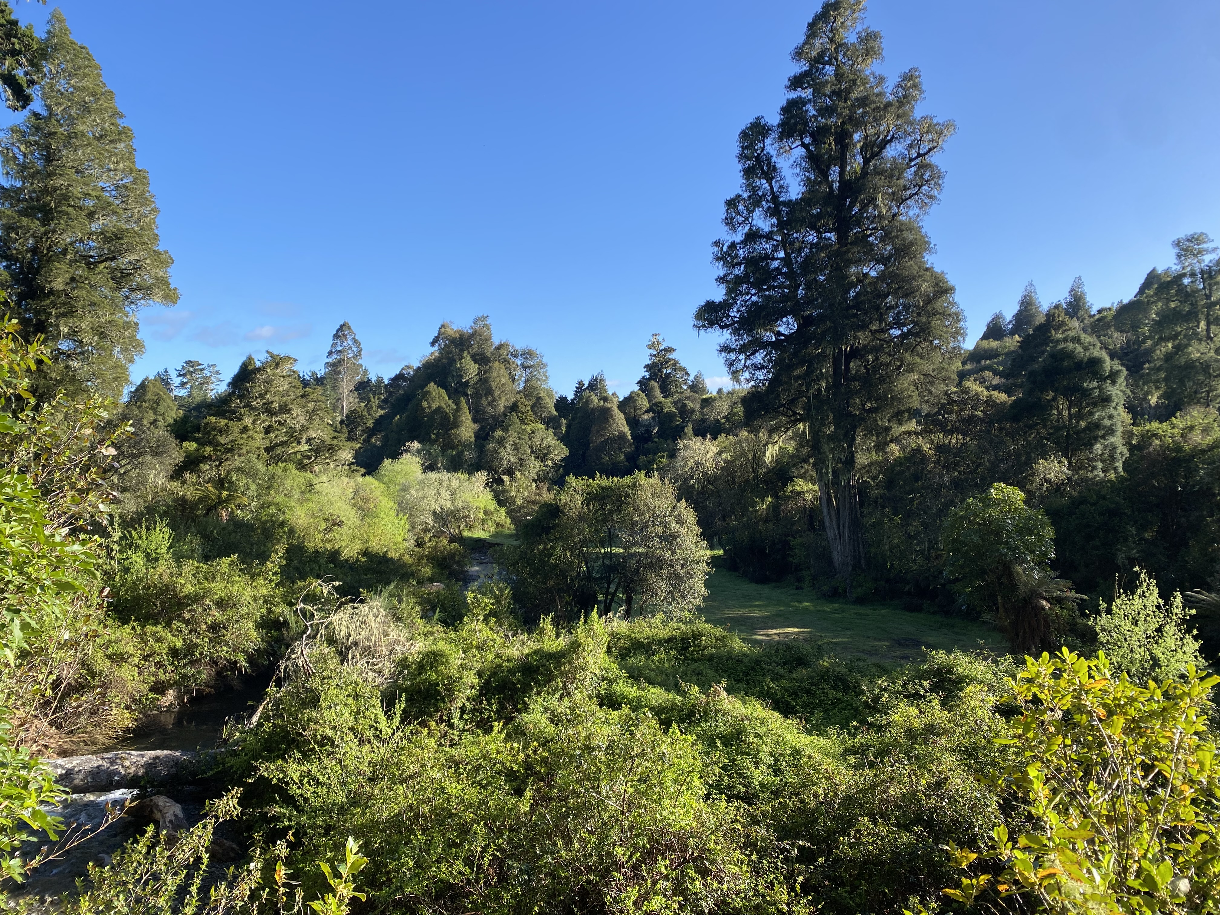 Sanctuary Campsite image 4