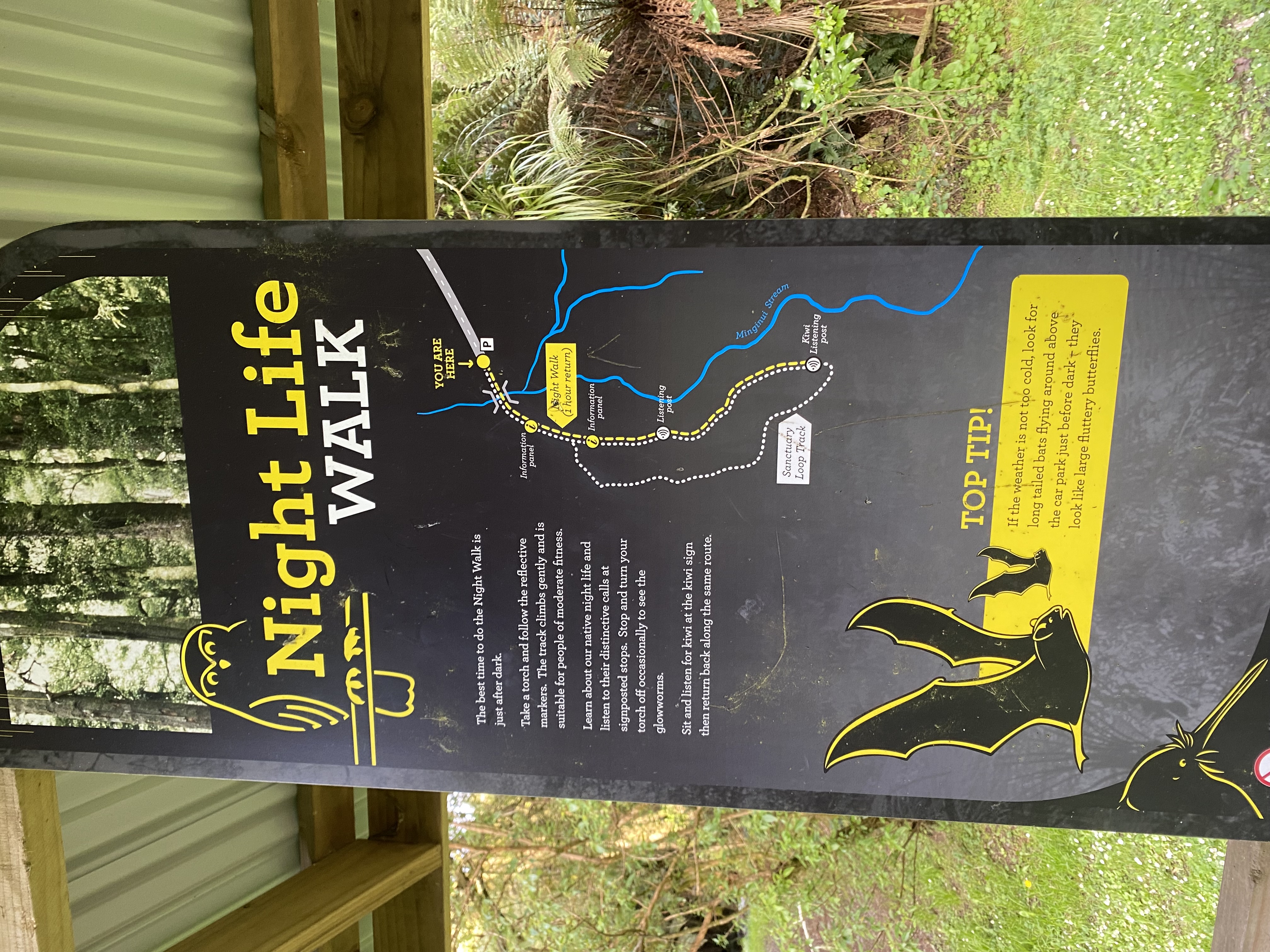 Sanctuary Campsite image 2