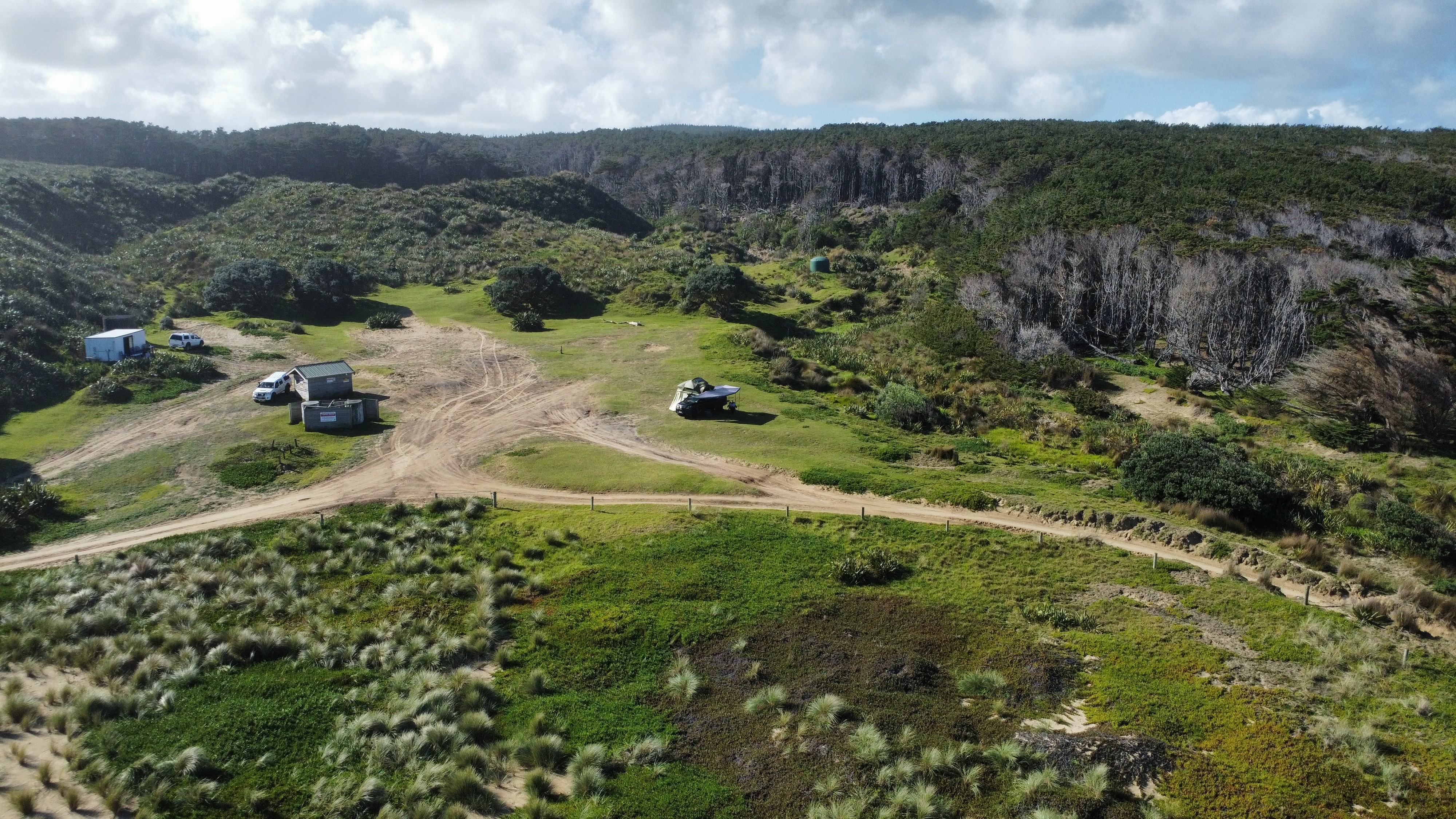 Maunganui Bluff Reserve image 1