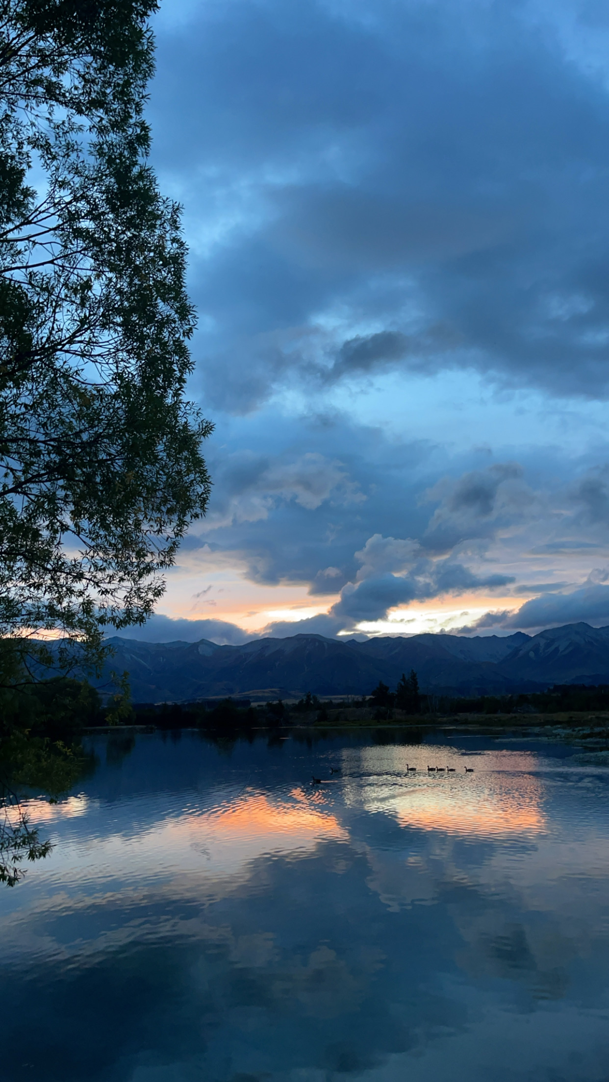 Lake Poaka Campsite image 1