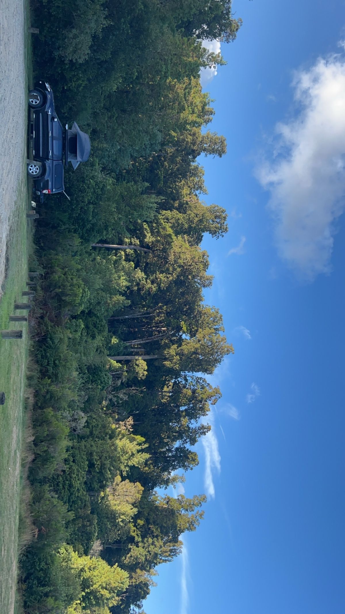 Kakaho Campsite image 6