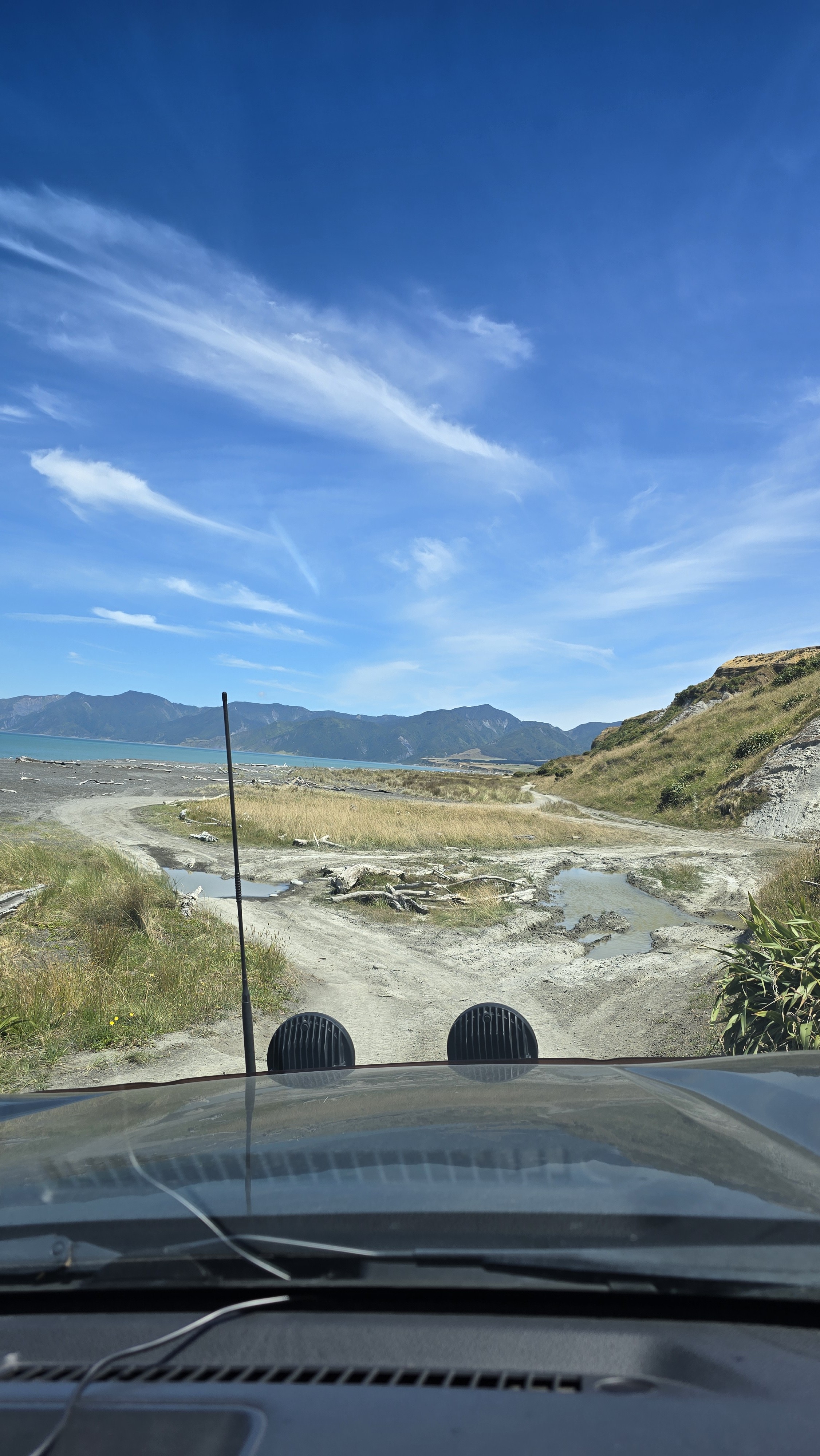 Whangaimoana Beach image 1
