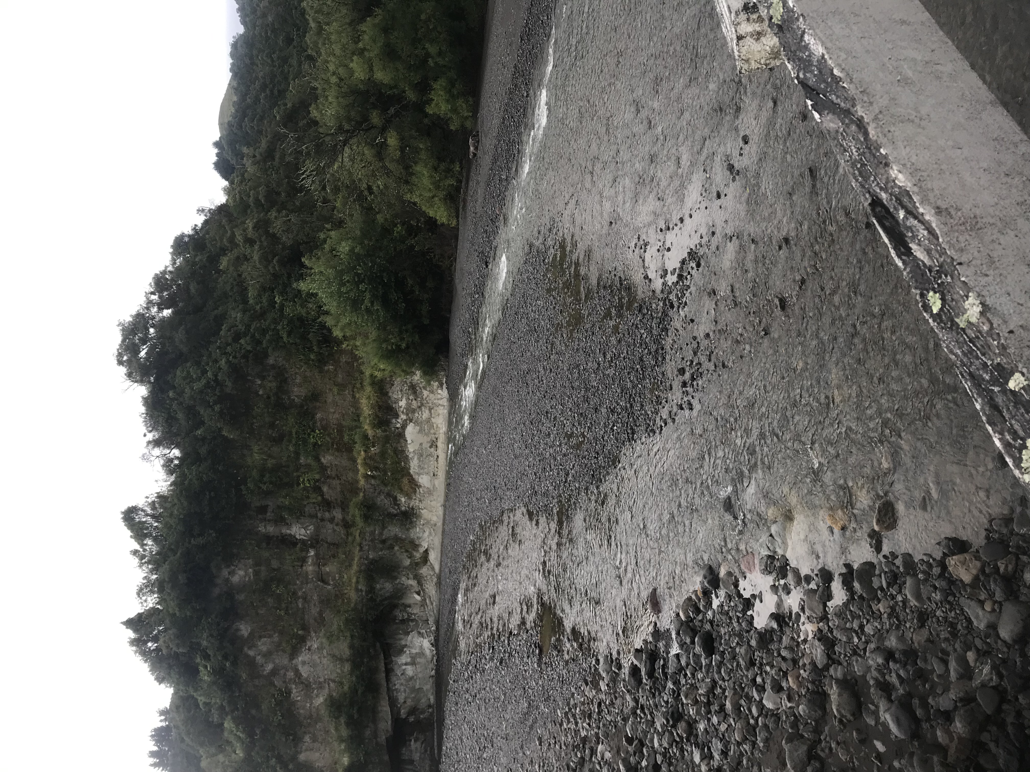 Piripiri Campsite image 7