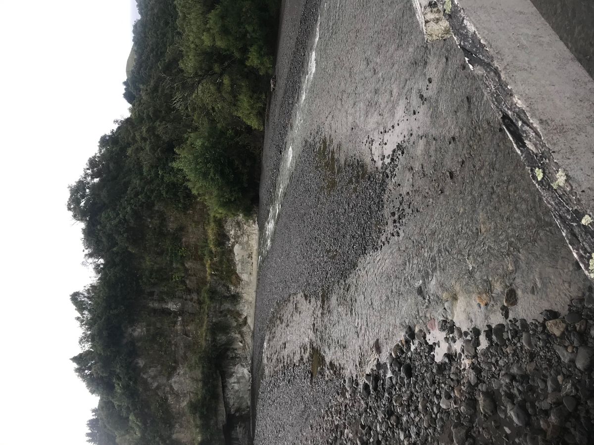 Piripiri Campsite image 7