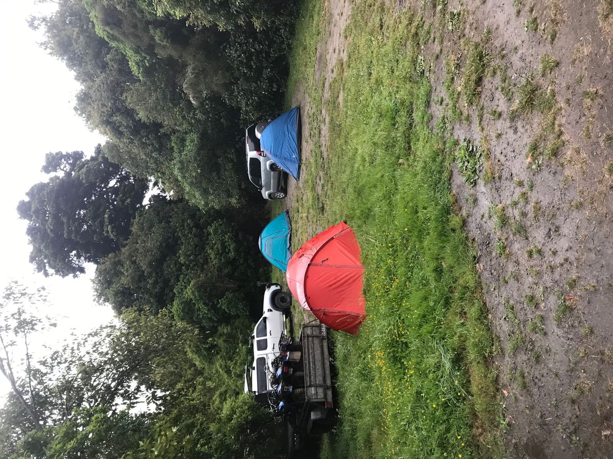 Piripiri Campsite image 3