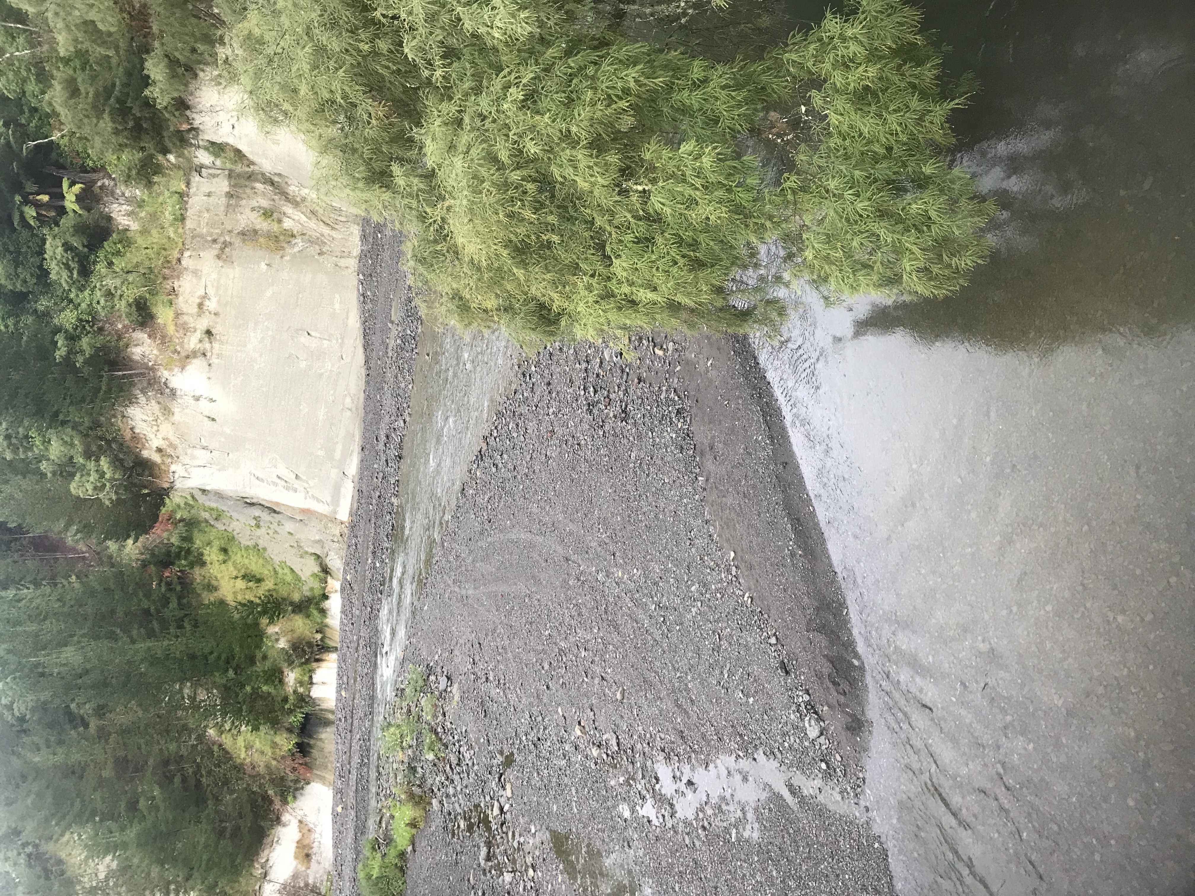 Piripiri Campsite image 6