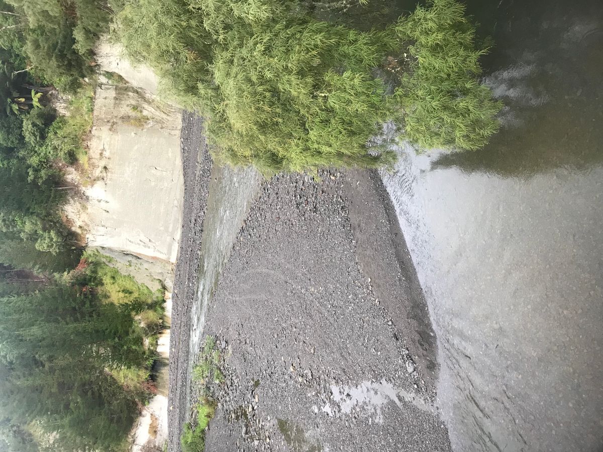 Piripiri Campsite image 2