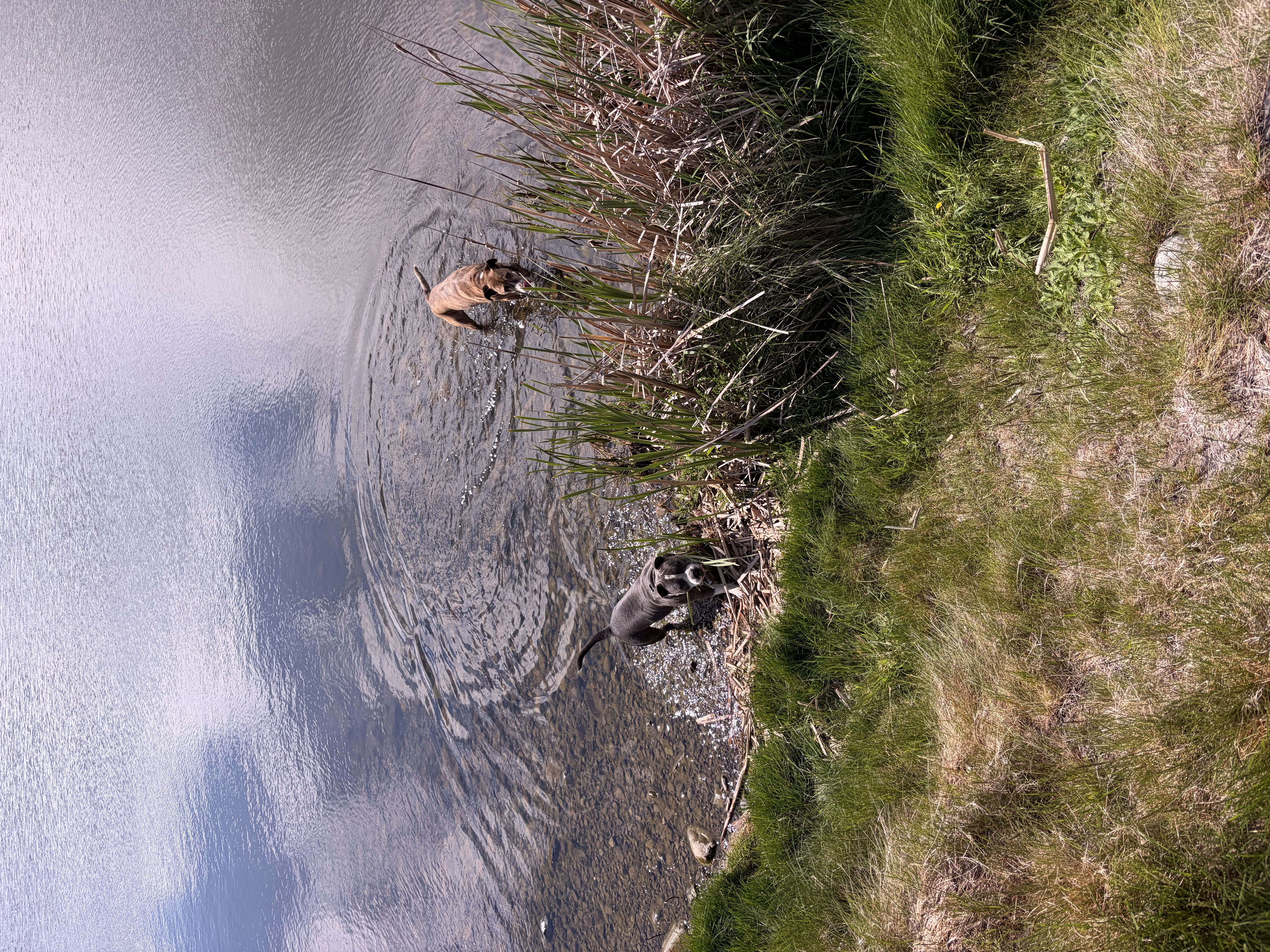 Lake Emily image 1