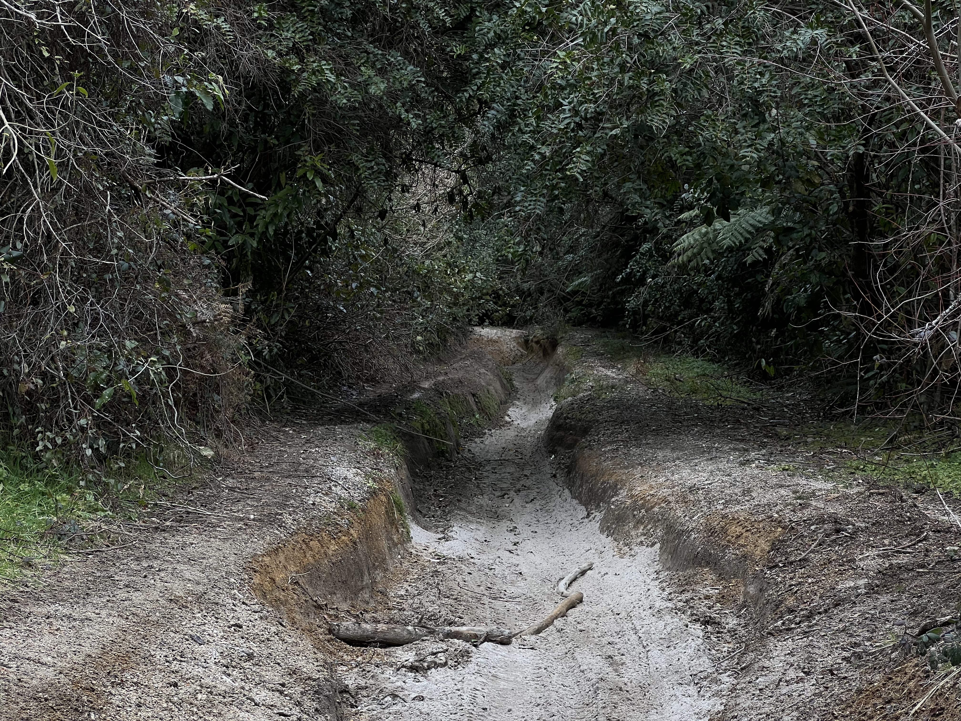 Porter Road image 1
