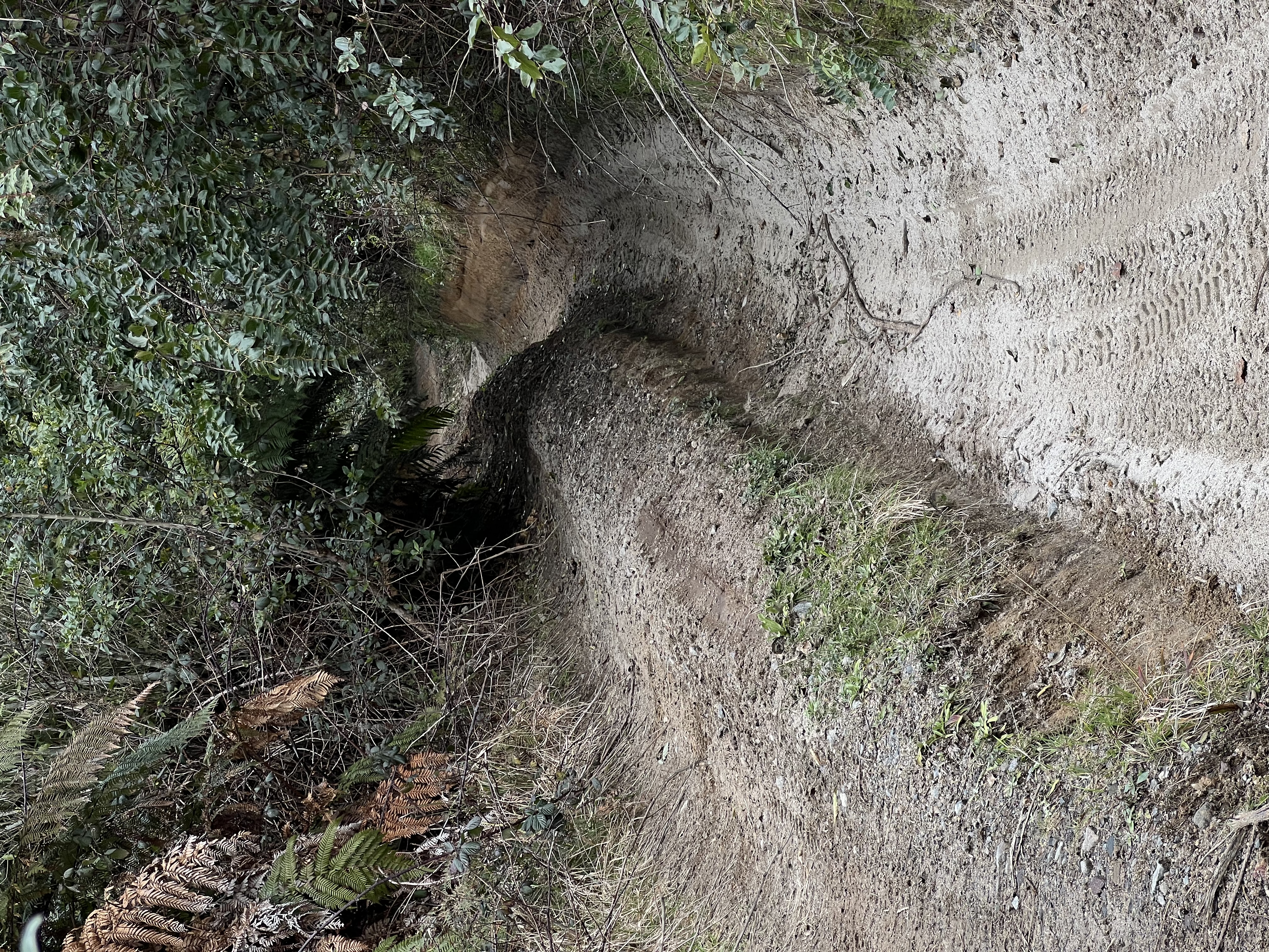 Porter Road image 3