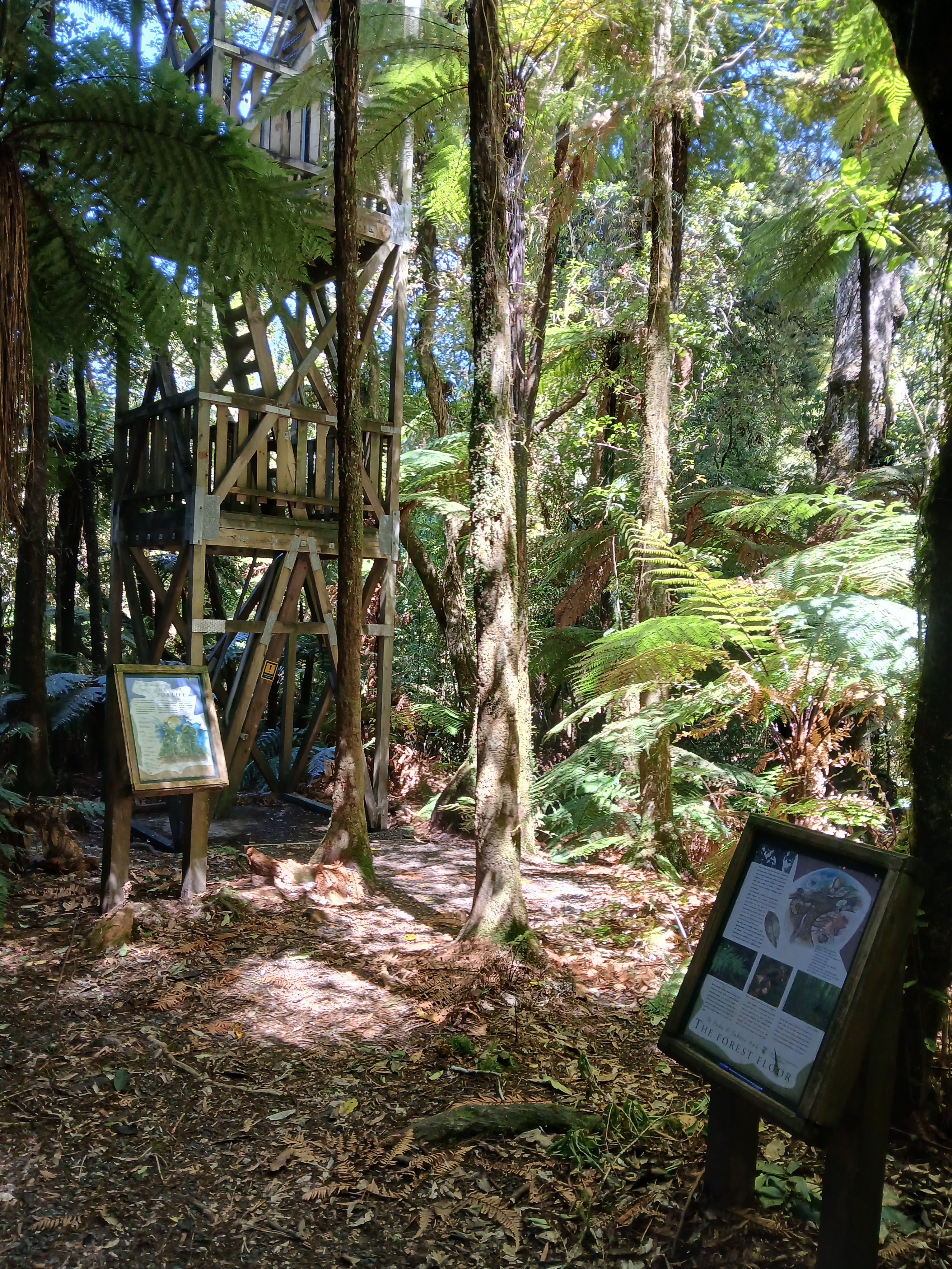 Fire Lookout image 1