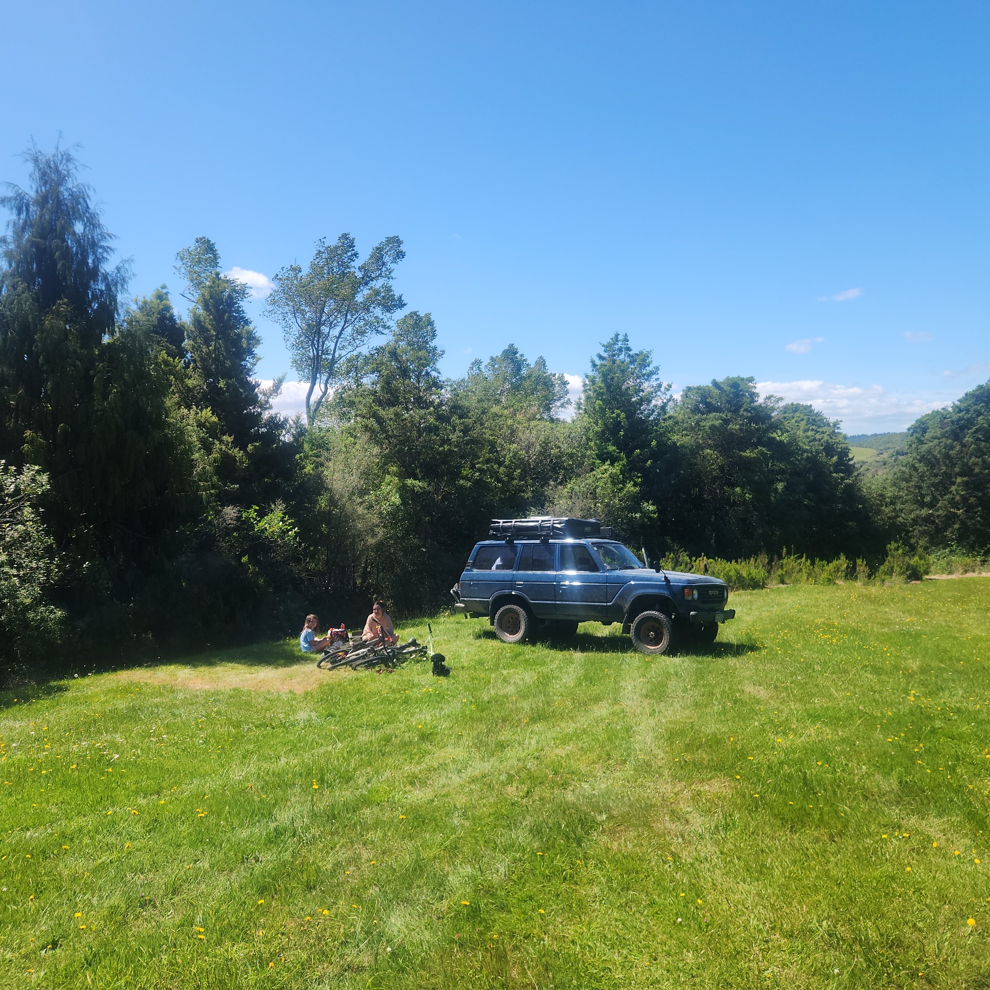 Ngaherenga Campsite image 5