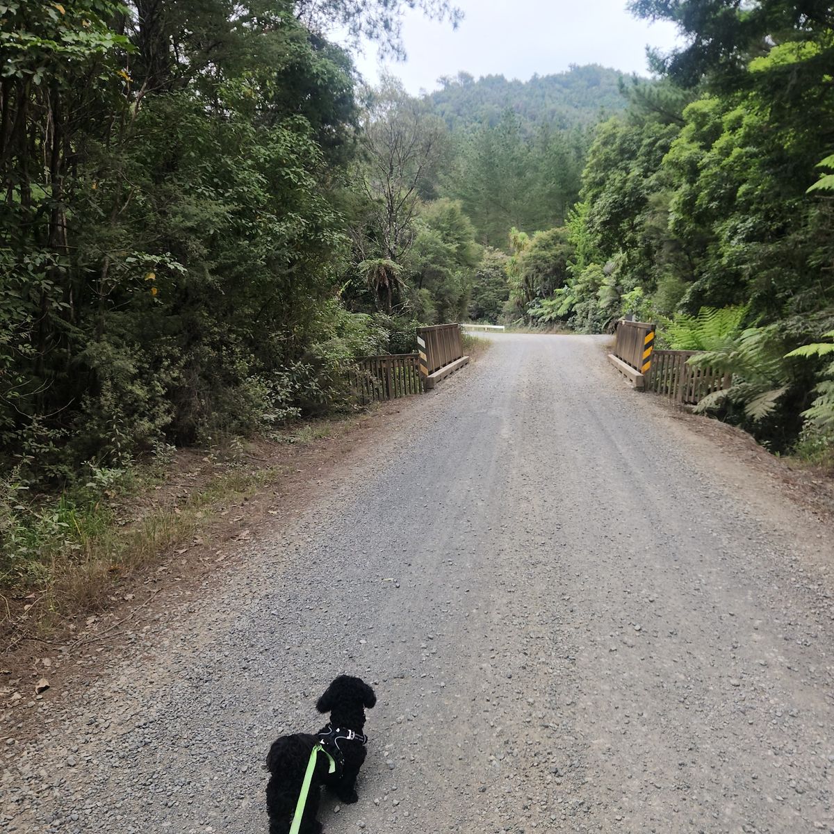 Hotoritori Campsite image 2