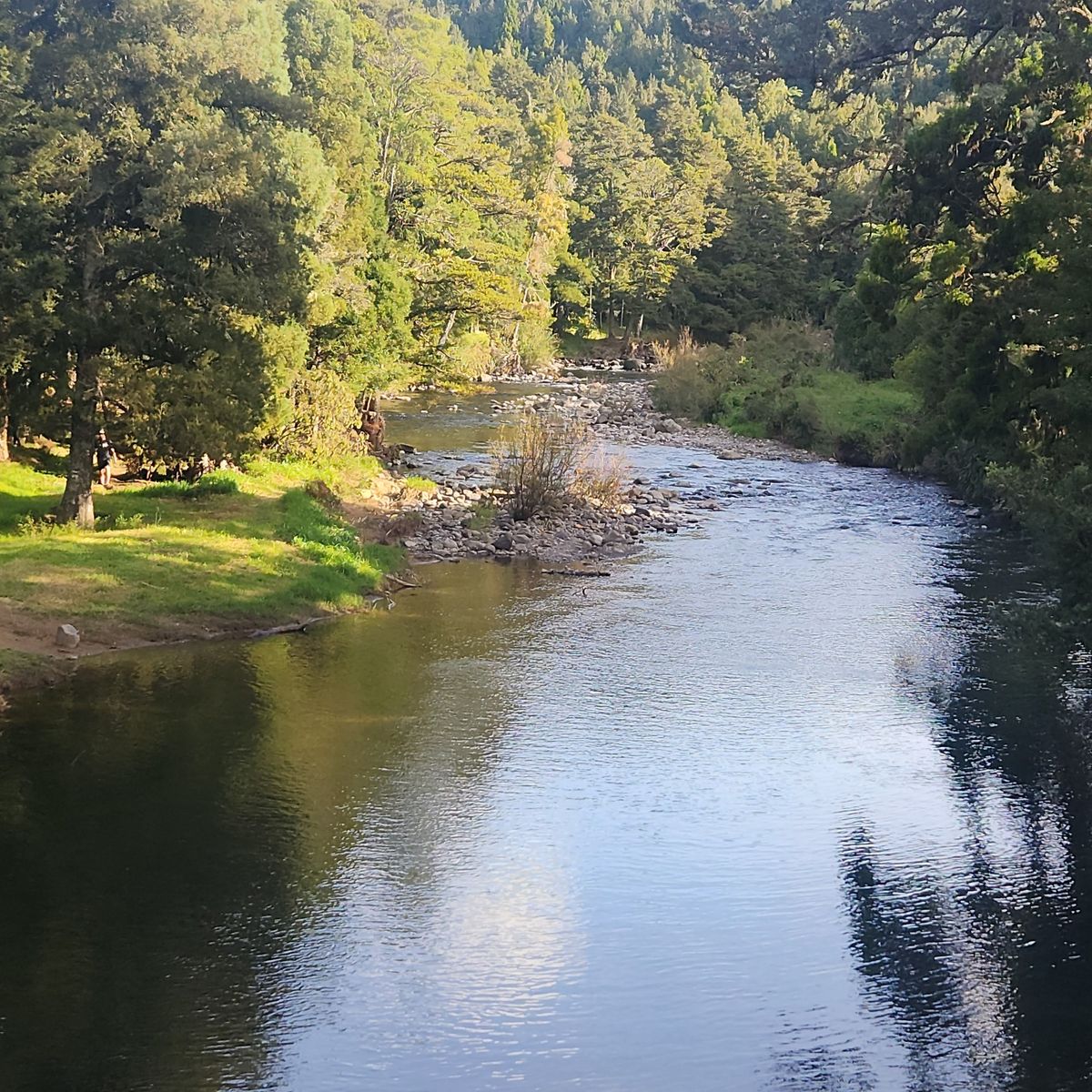 Dickey Flat Campsite image 4