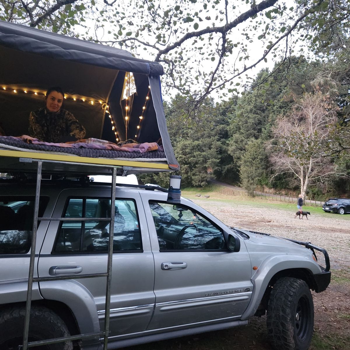 Dickey Flat Campsite image 3