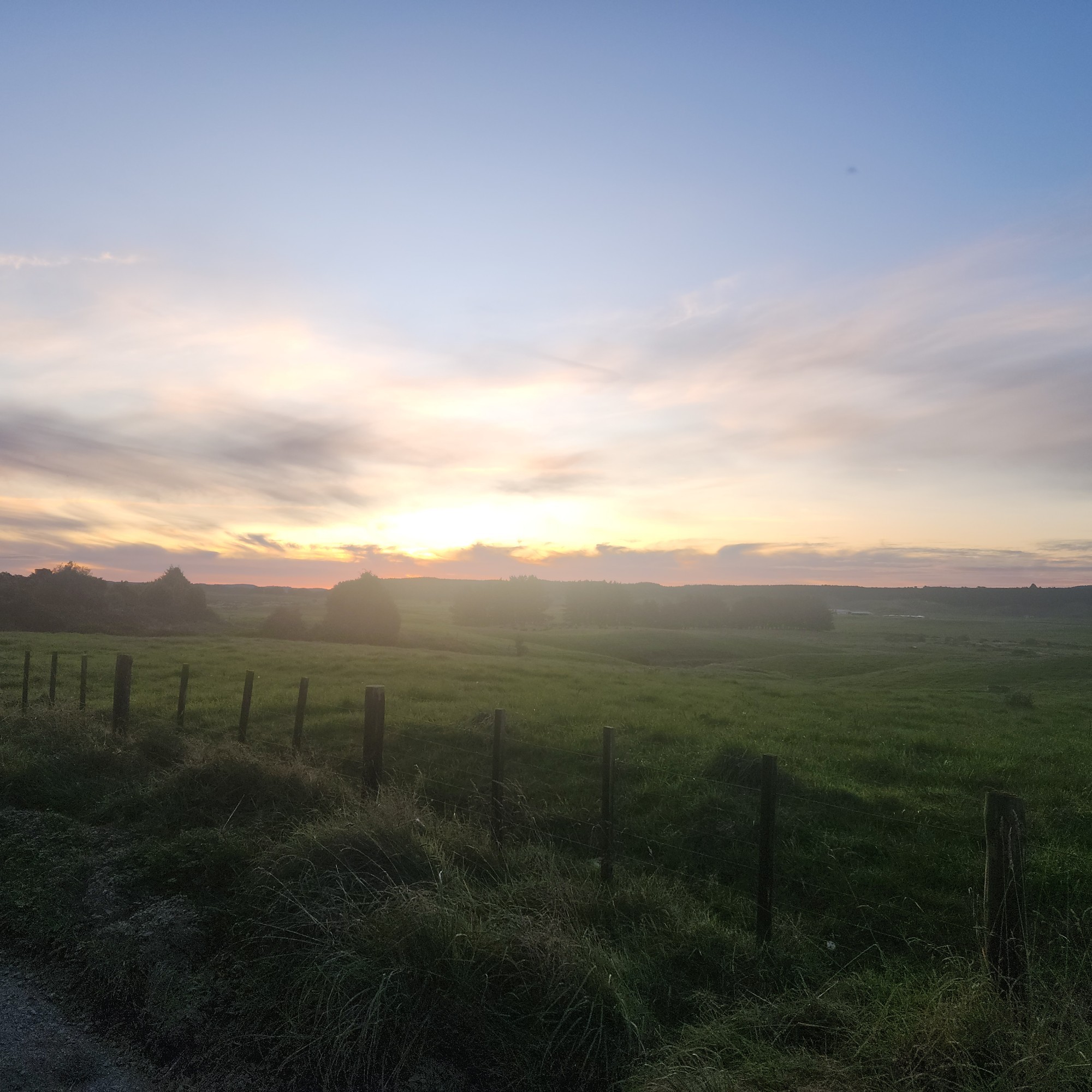 Ngaherenga Campsite image 7
