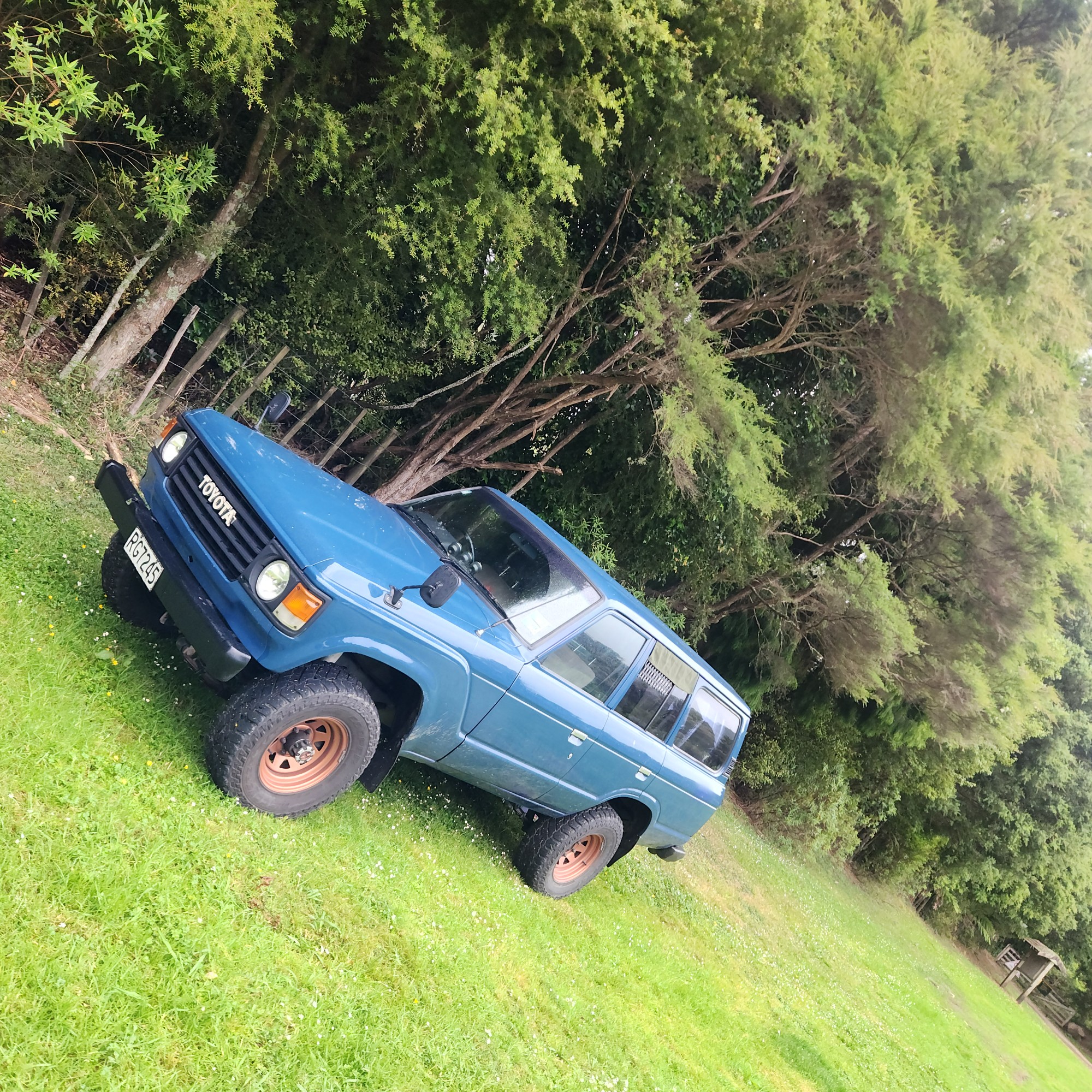 Kahikatea Campsite image 2