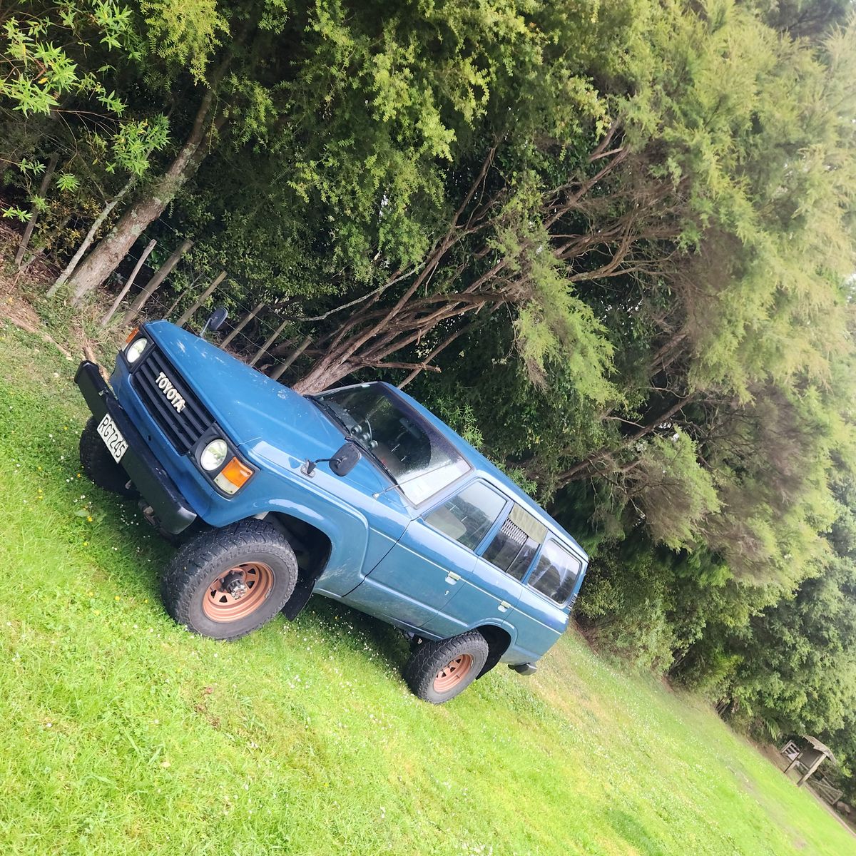 Kahikatea Campsite image 2