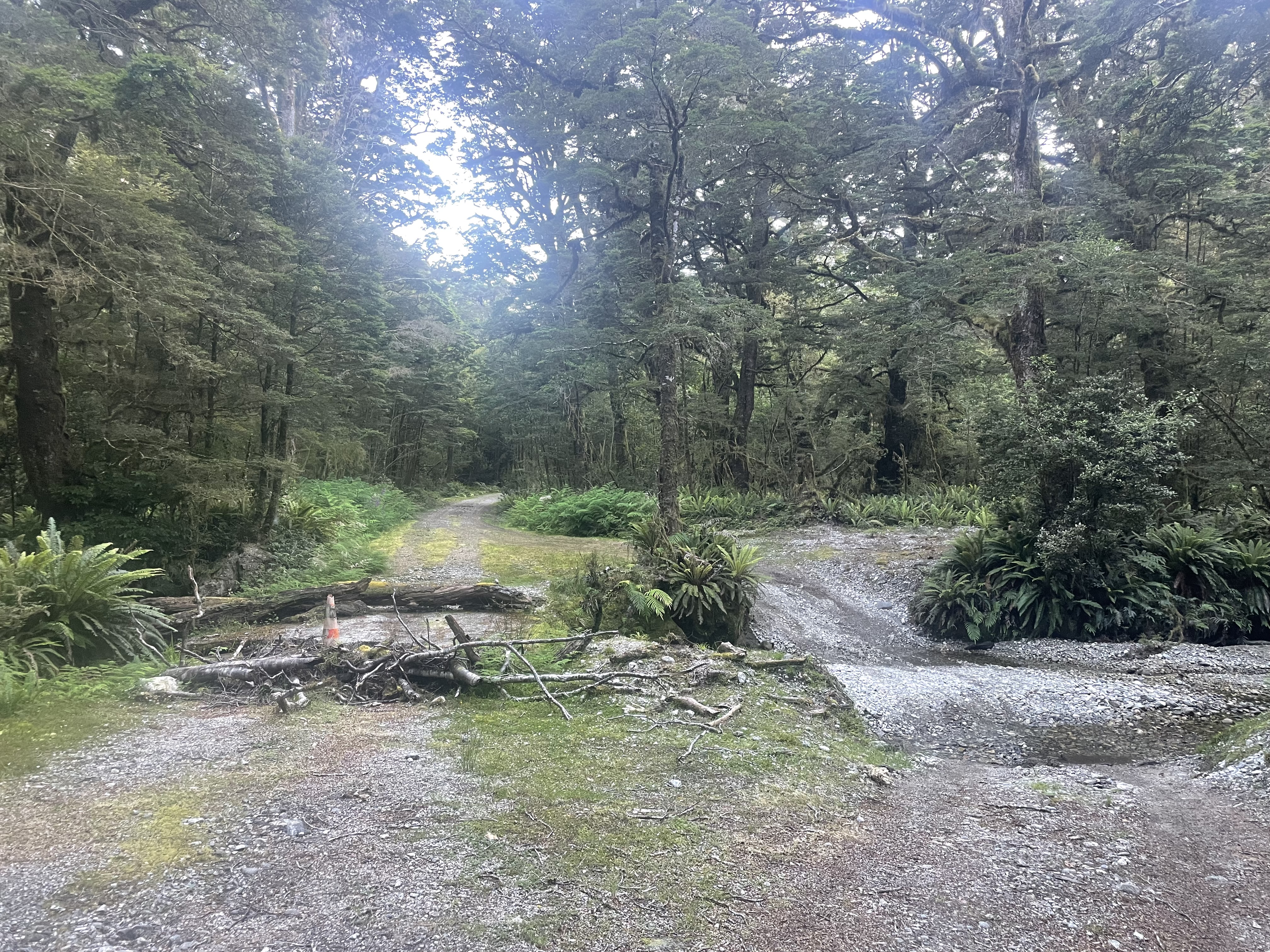 Borland Road image 7