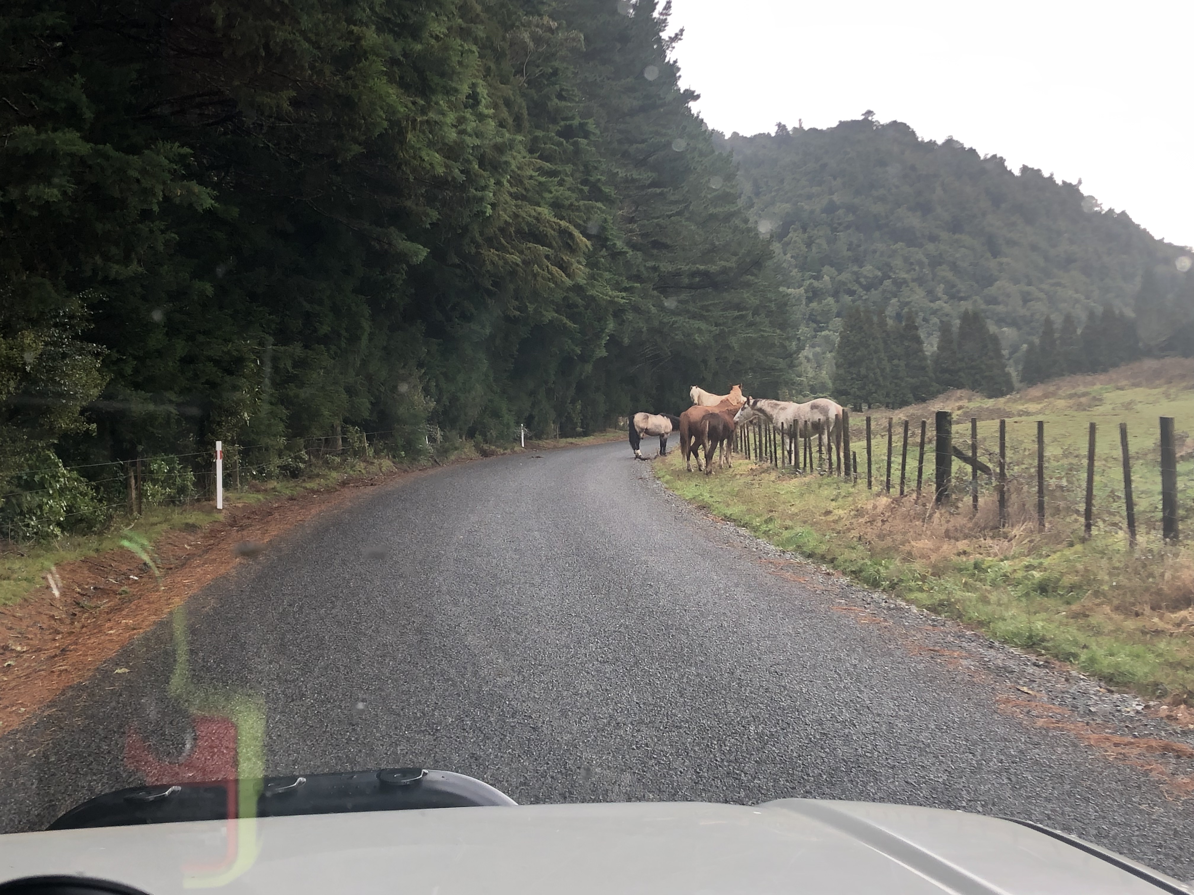 Matahi Valley Road image 2