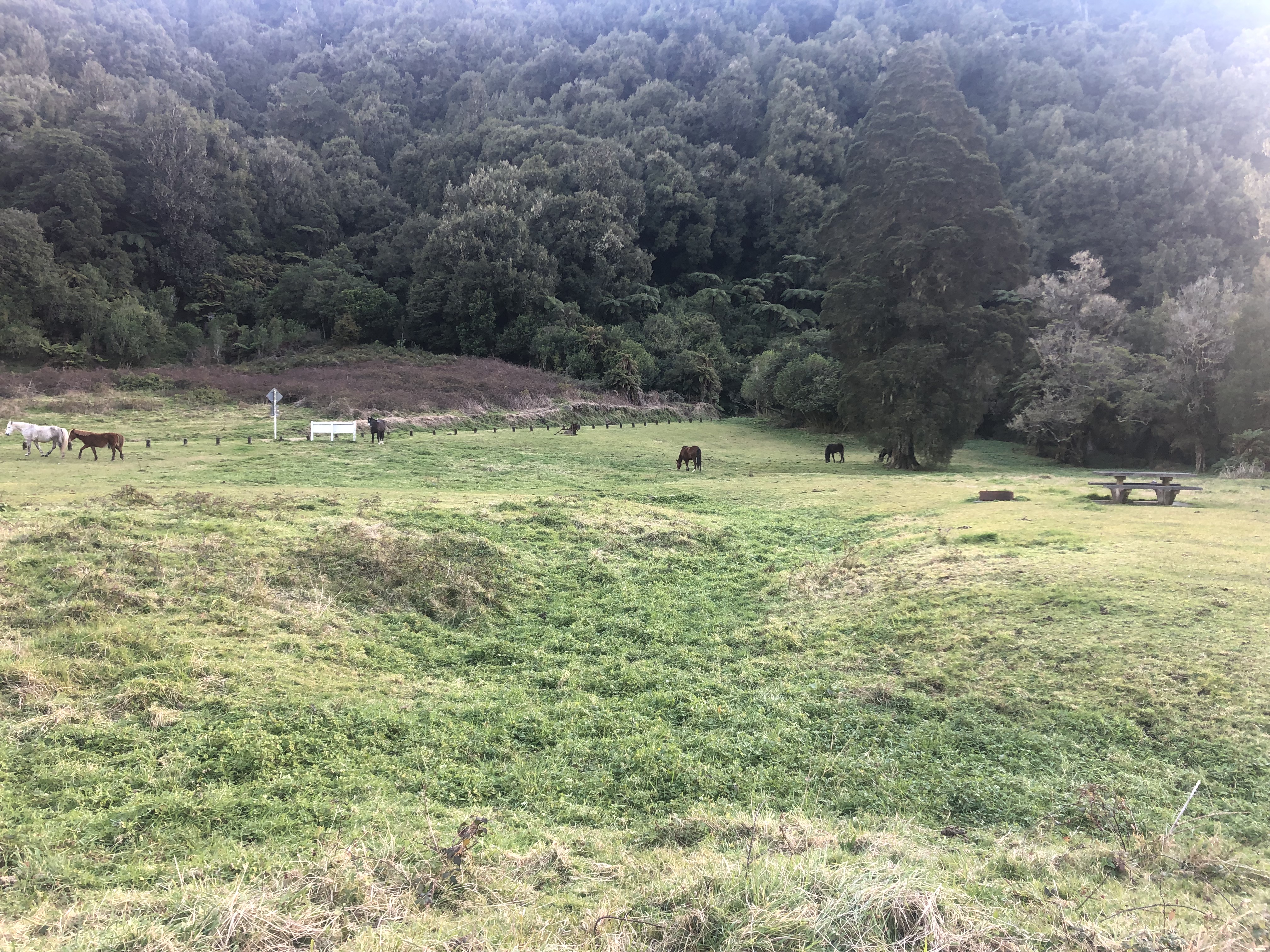 Matahi Valley Road image 1