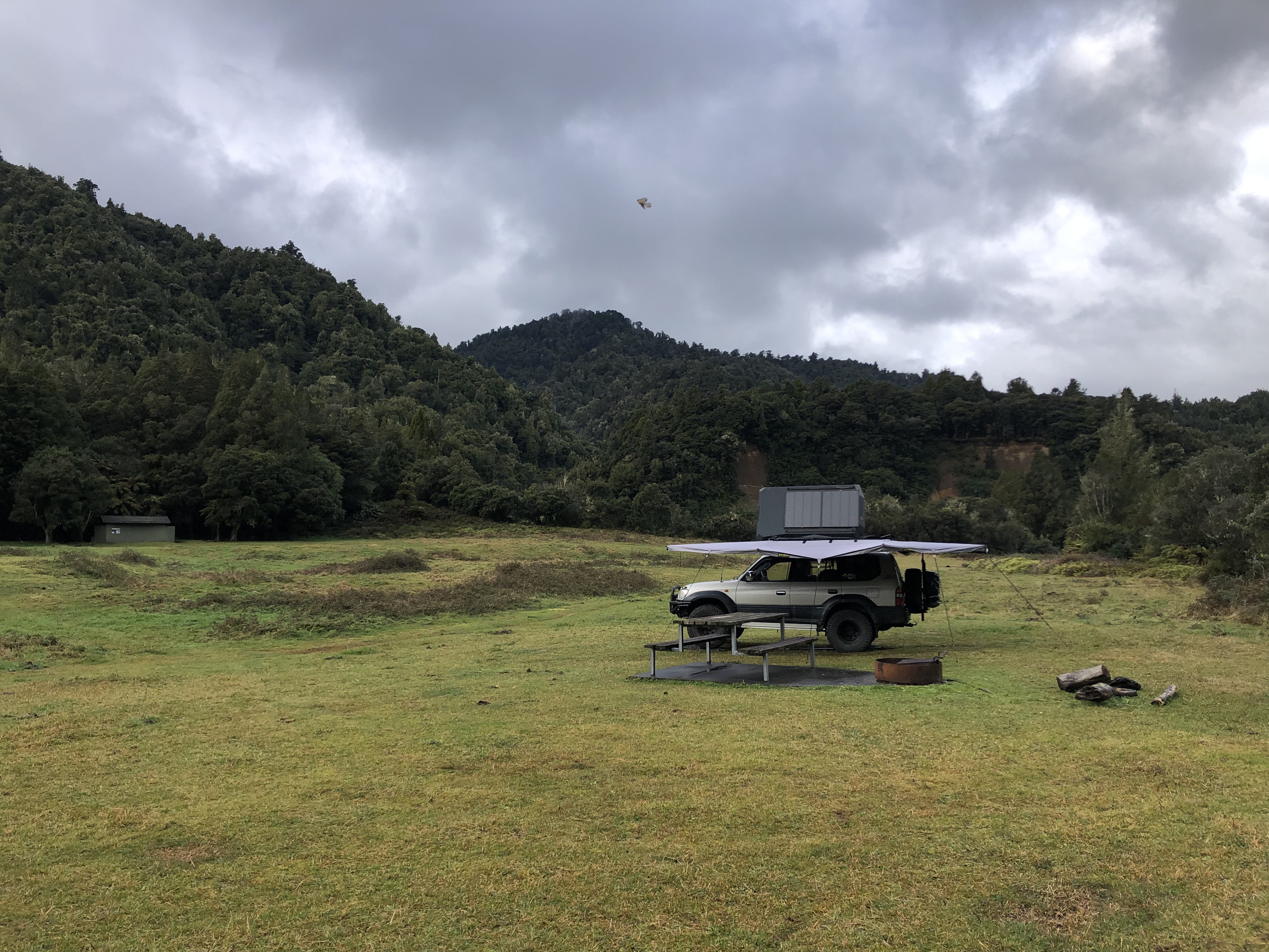 Te Pakau (Eight Acre) Campsite image 4