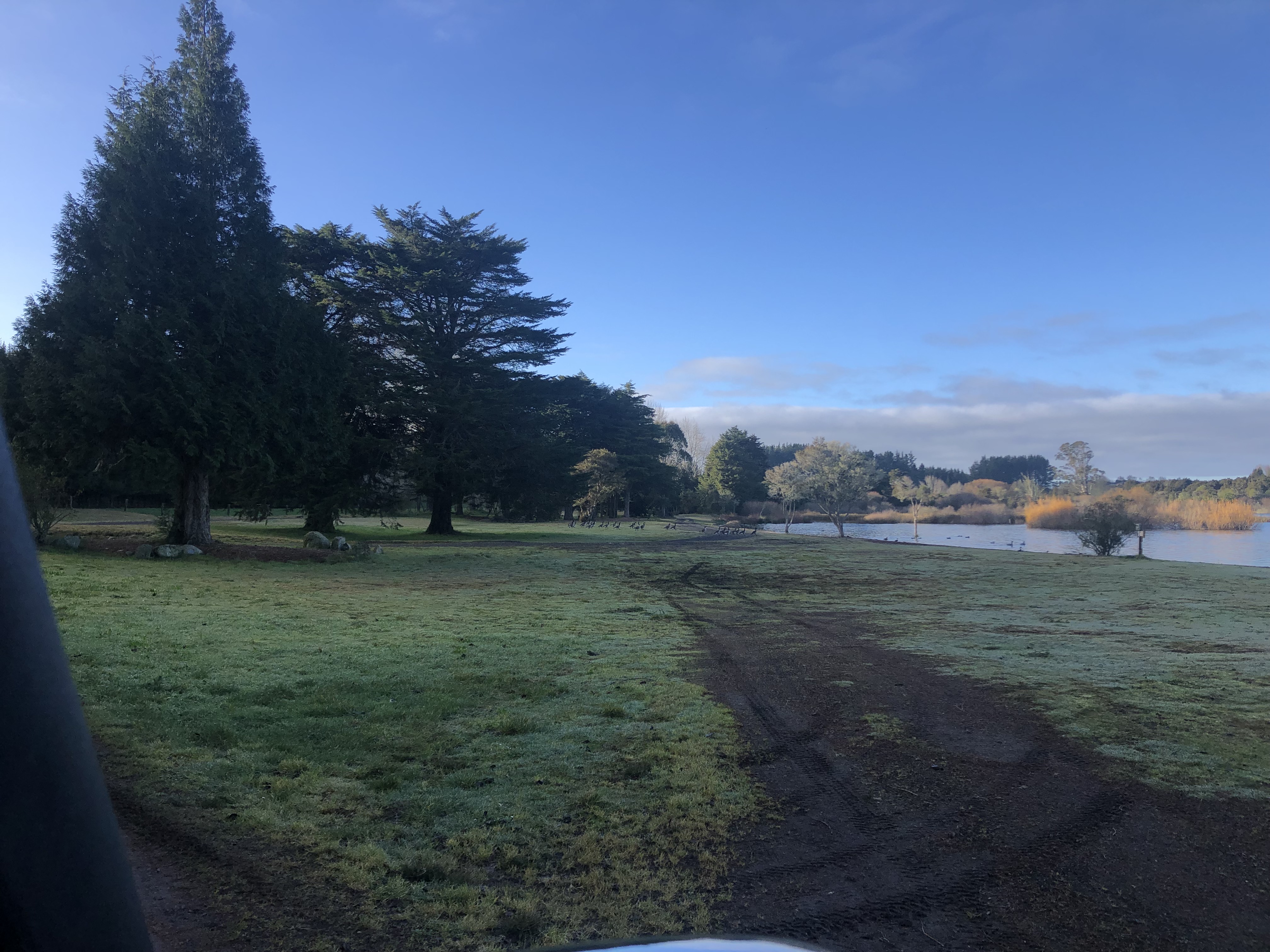 Rerewhakaaitu, Ash Pit Road Campsite image 3