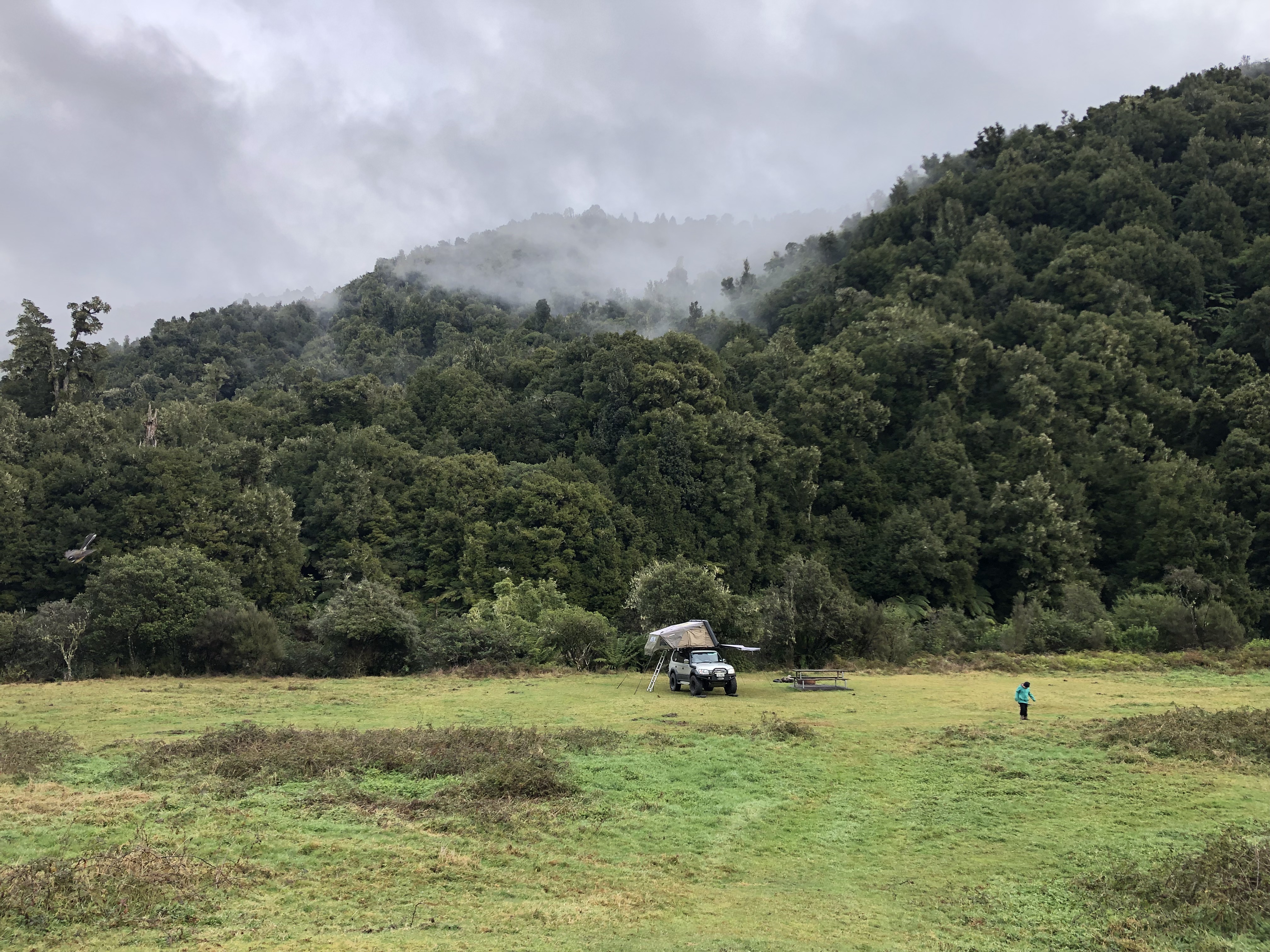 Te Pakau (Eight Acre) Campsite image 2