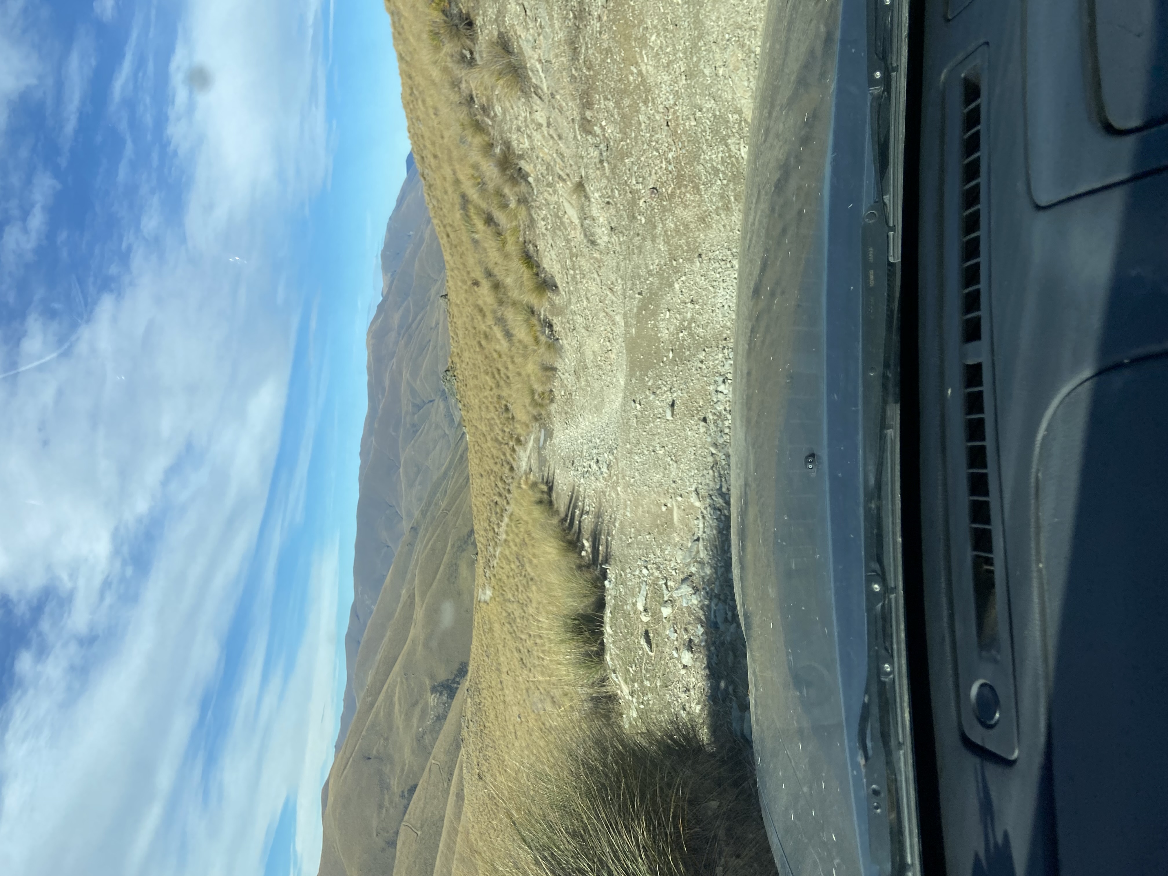 Mt Buster image 3