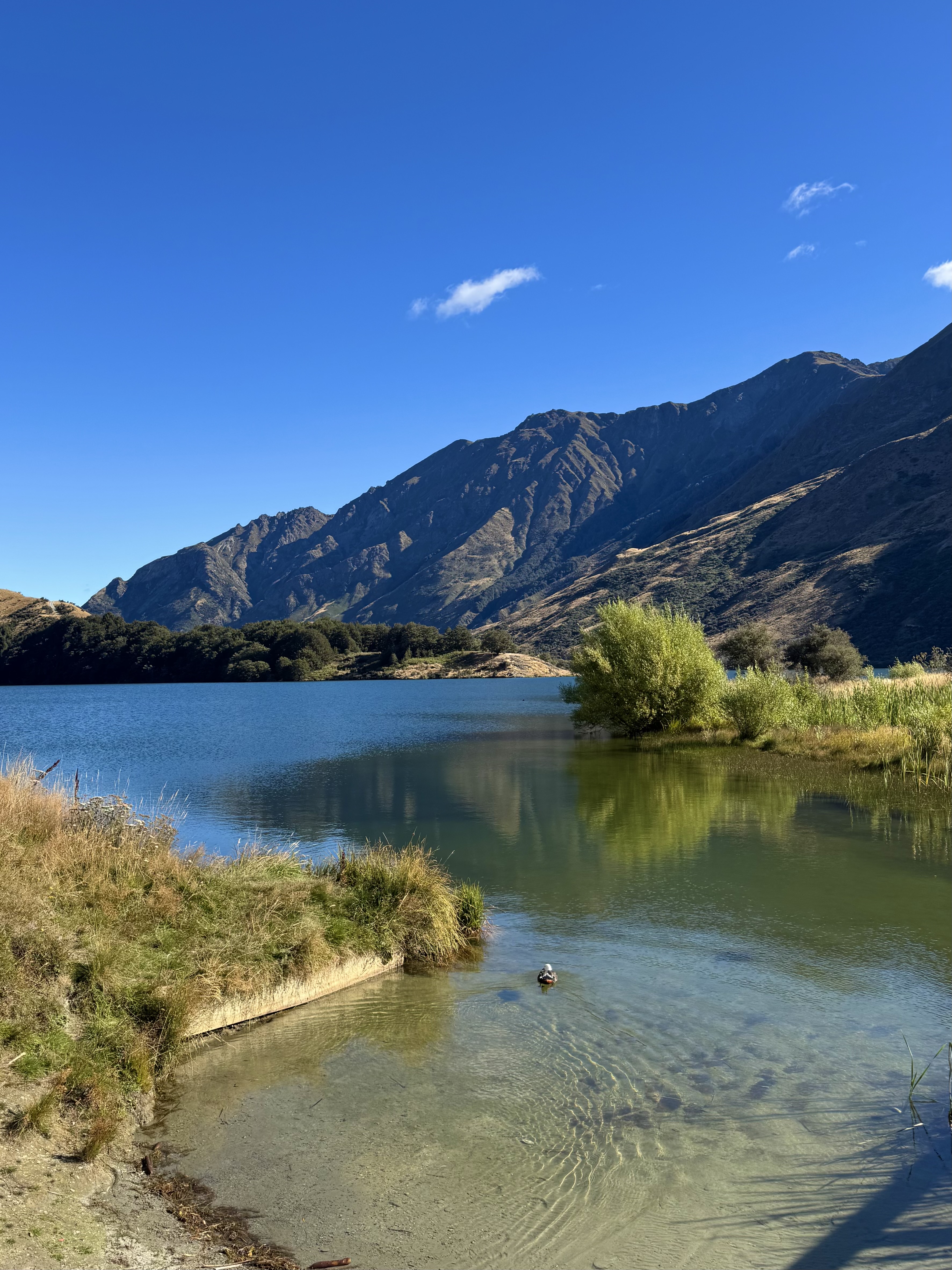 Moke Lake image 2